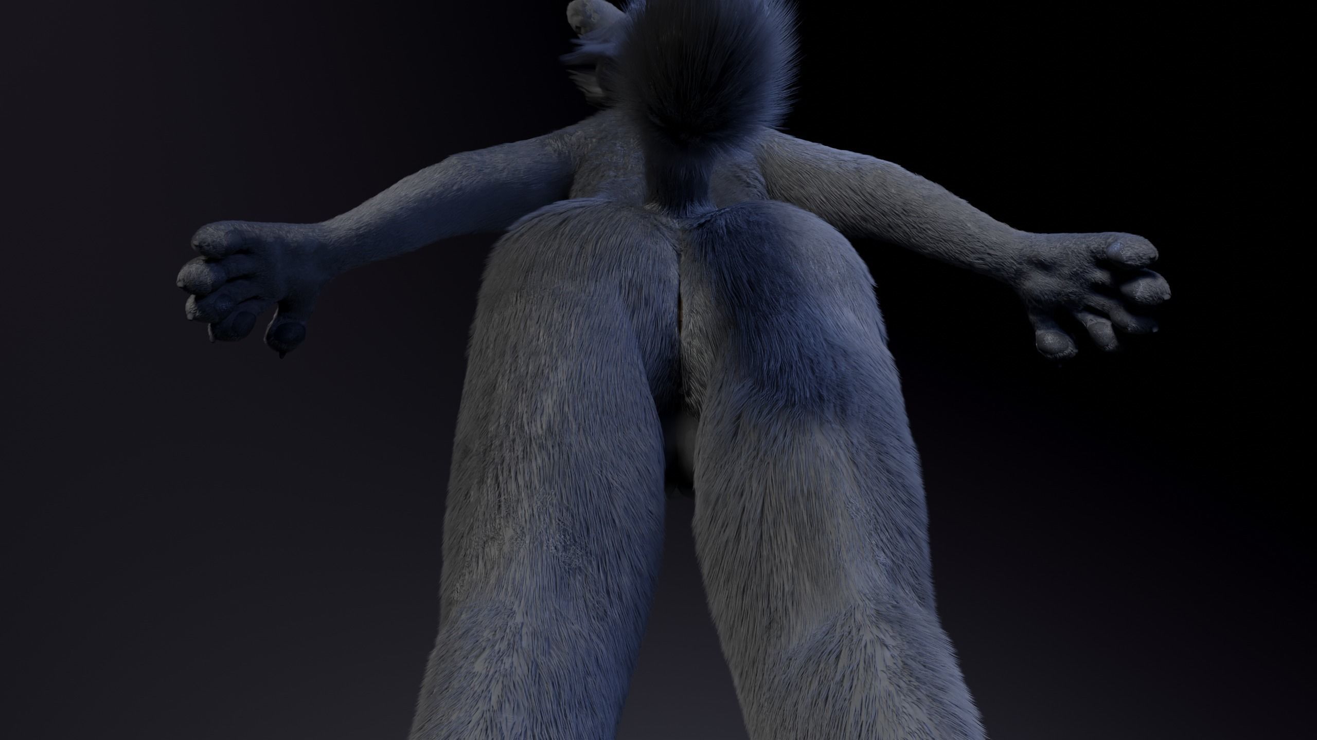 Jonny Anthro Wolf 3D model_17