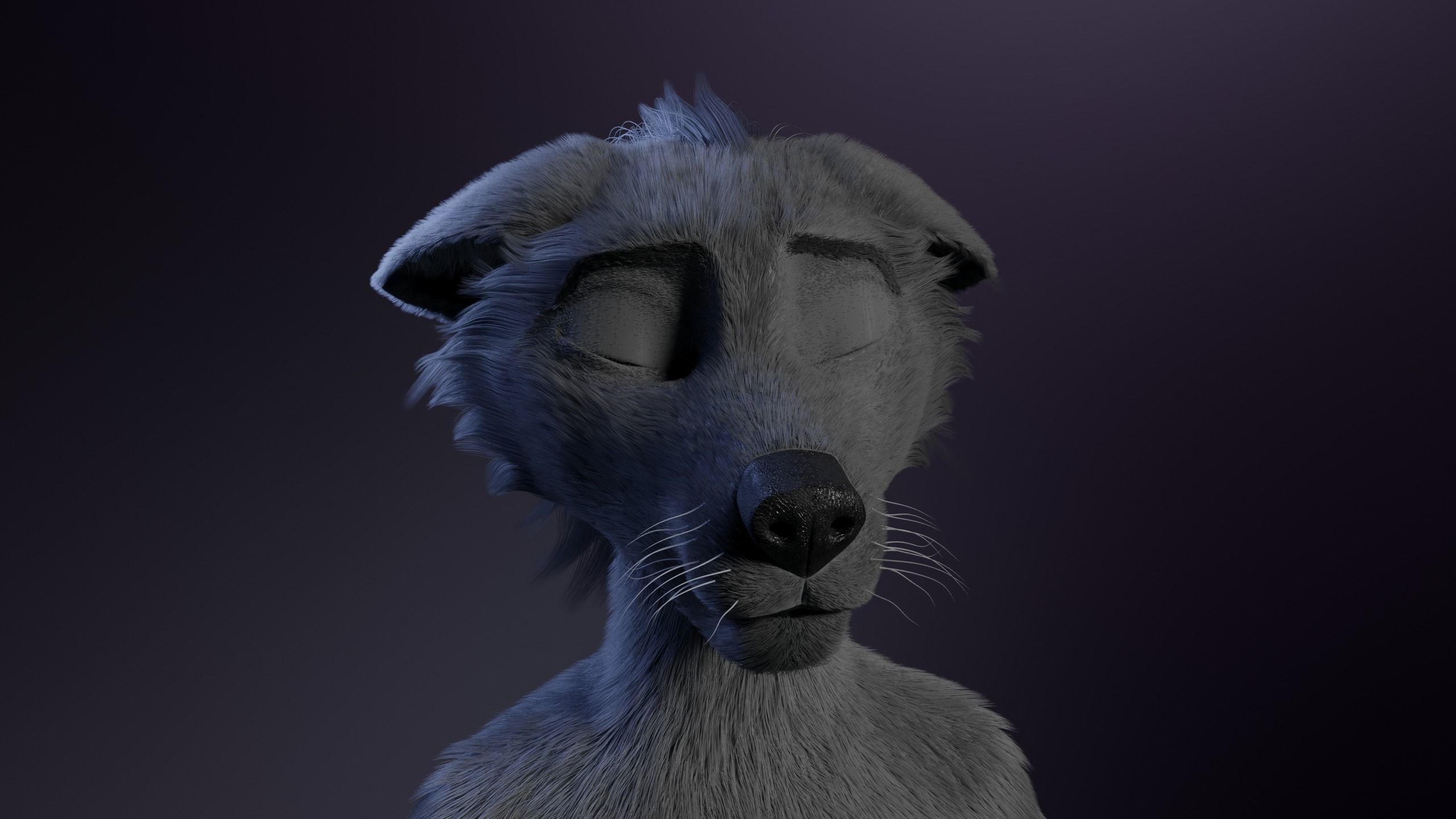 Jonny Anthro Wolf 3D model_34
