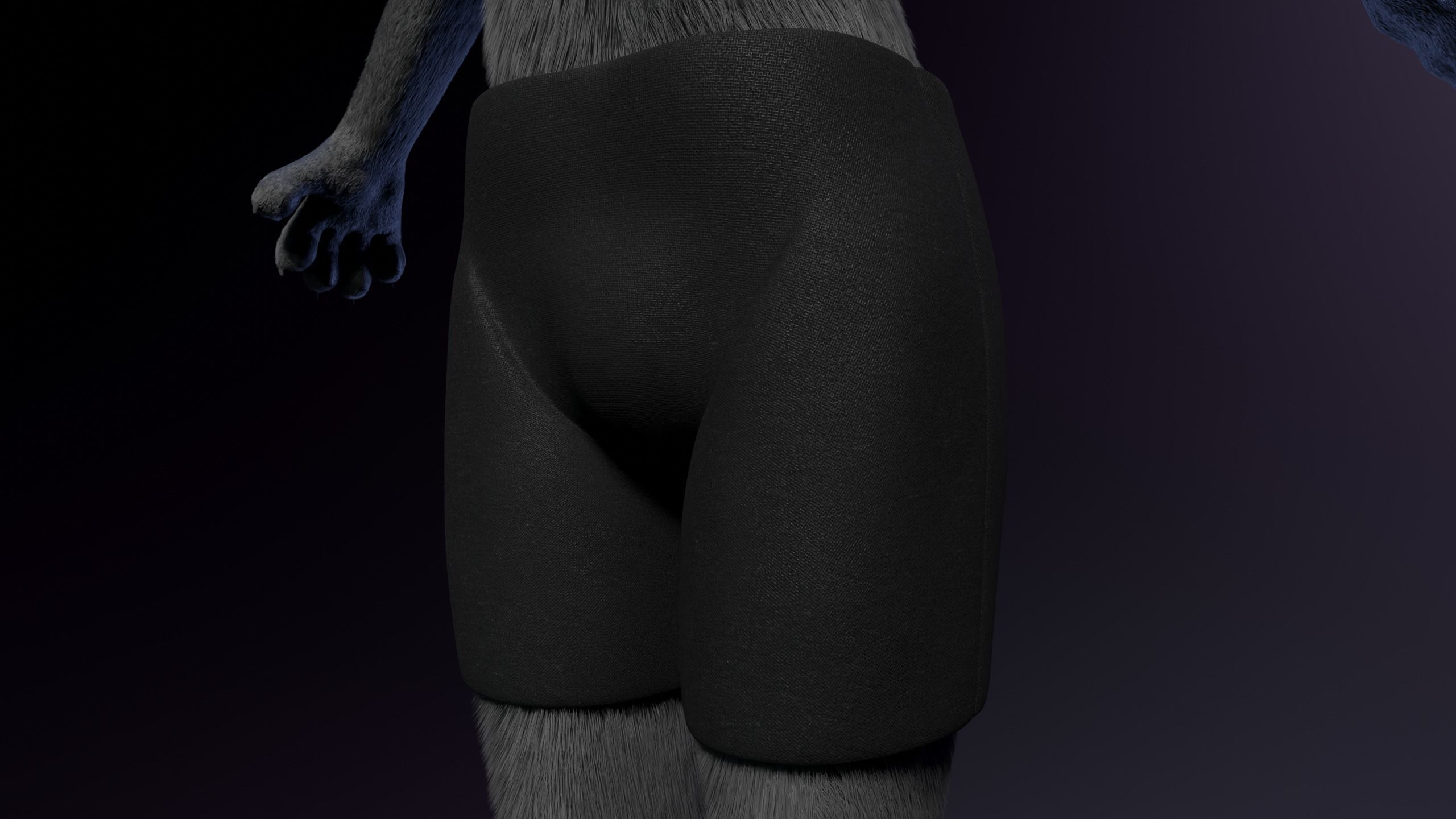 Jonny Anthro Wolf 3D model_26