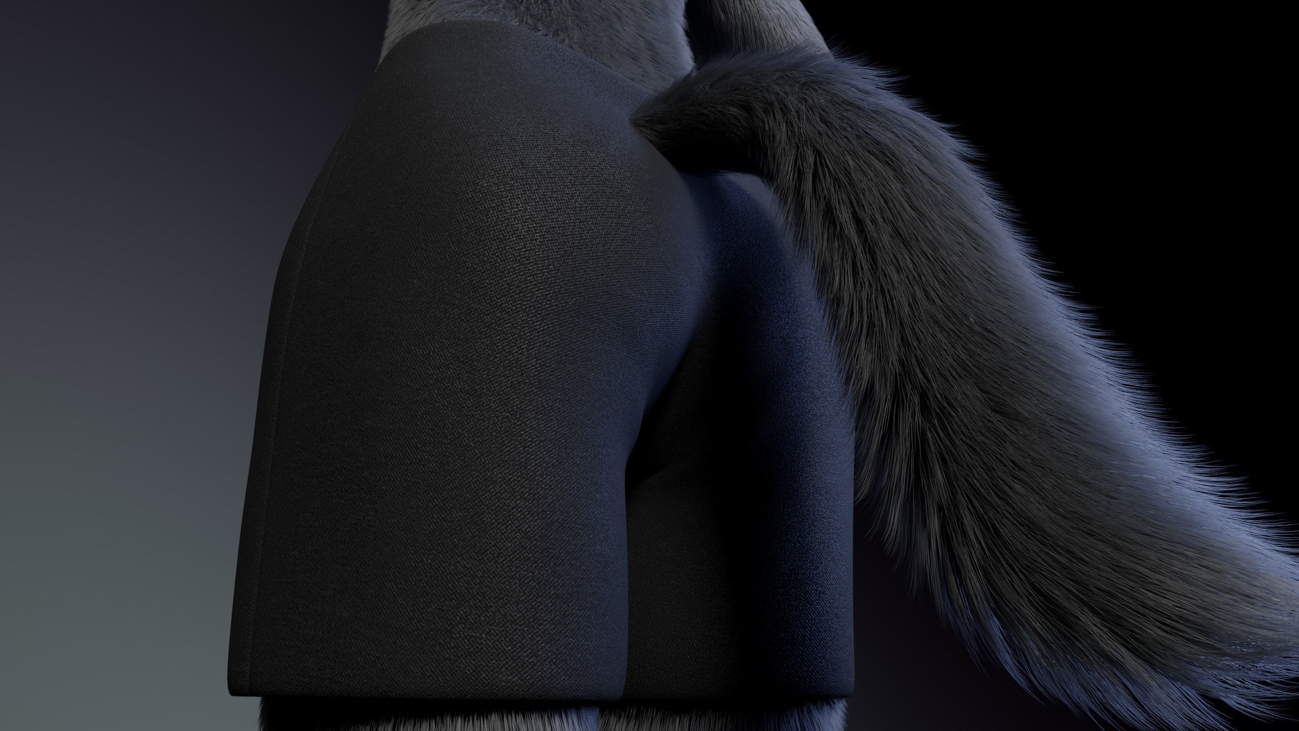 Jonny Anthro Wolf 3D model_27