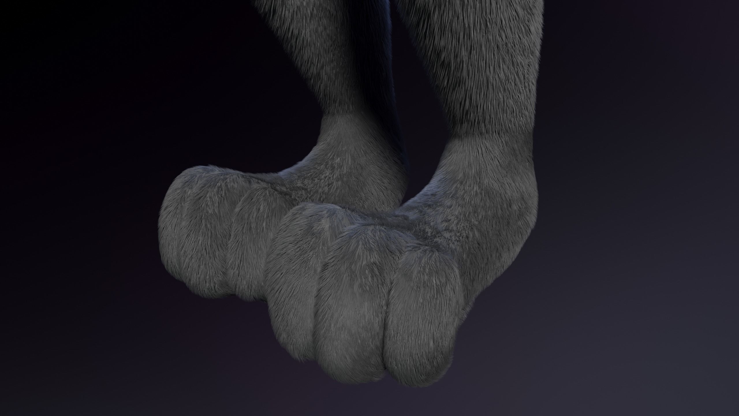 Jonny Anthro Wolf 3D model_15