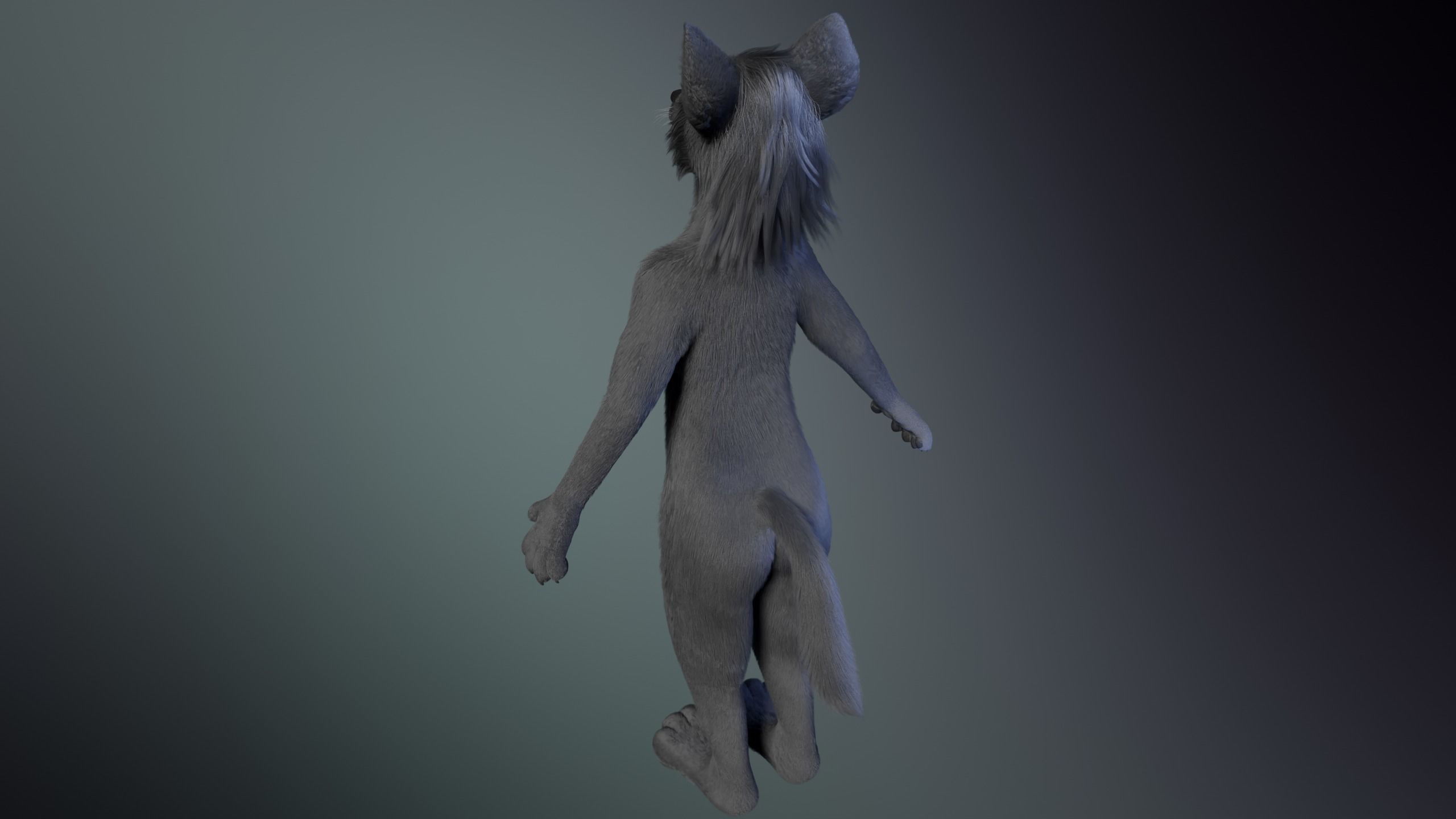 Jonny Anthro Wolf 3D model_7