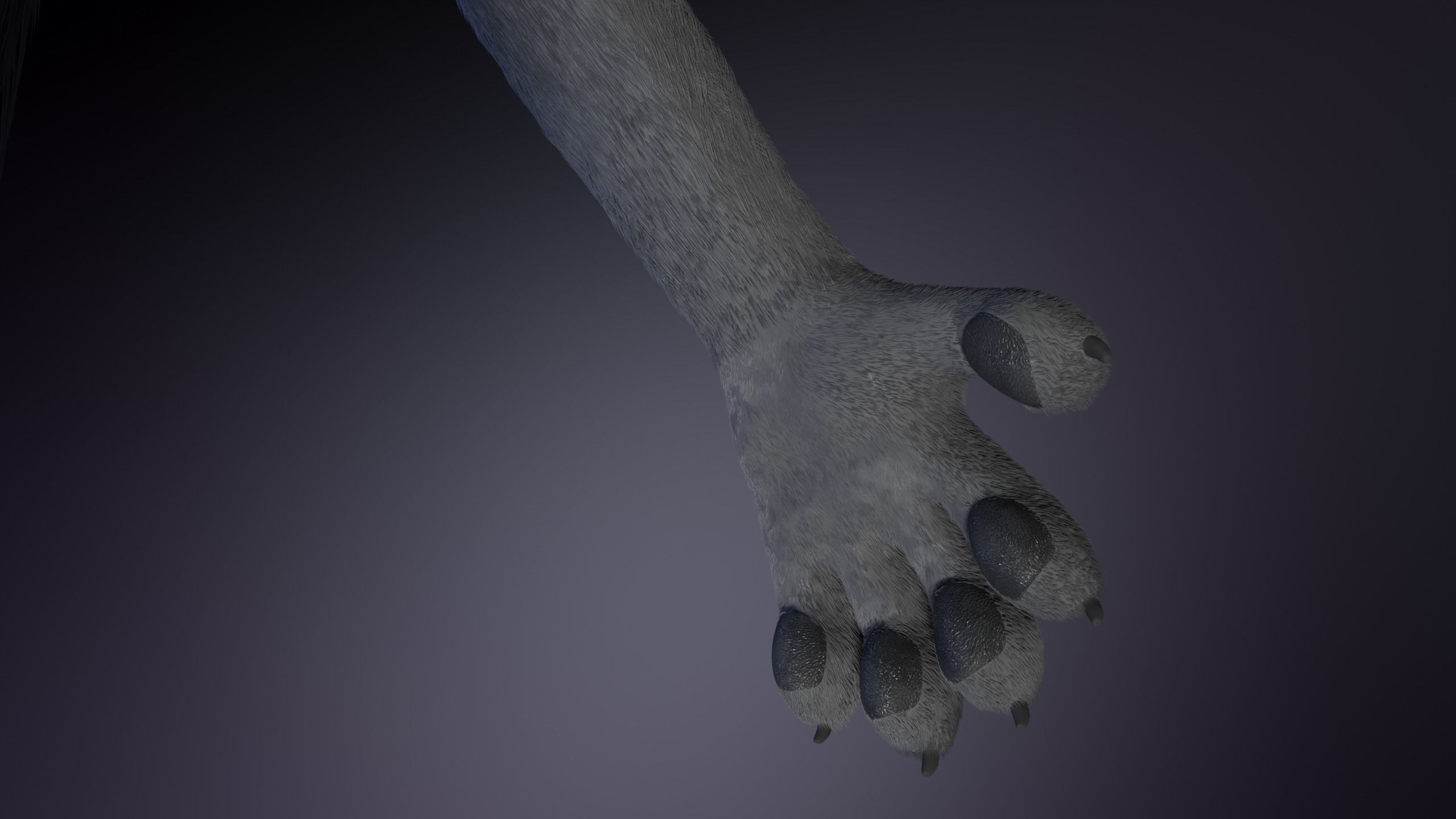 Jonny Anthro Wolf 3D model_14