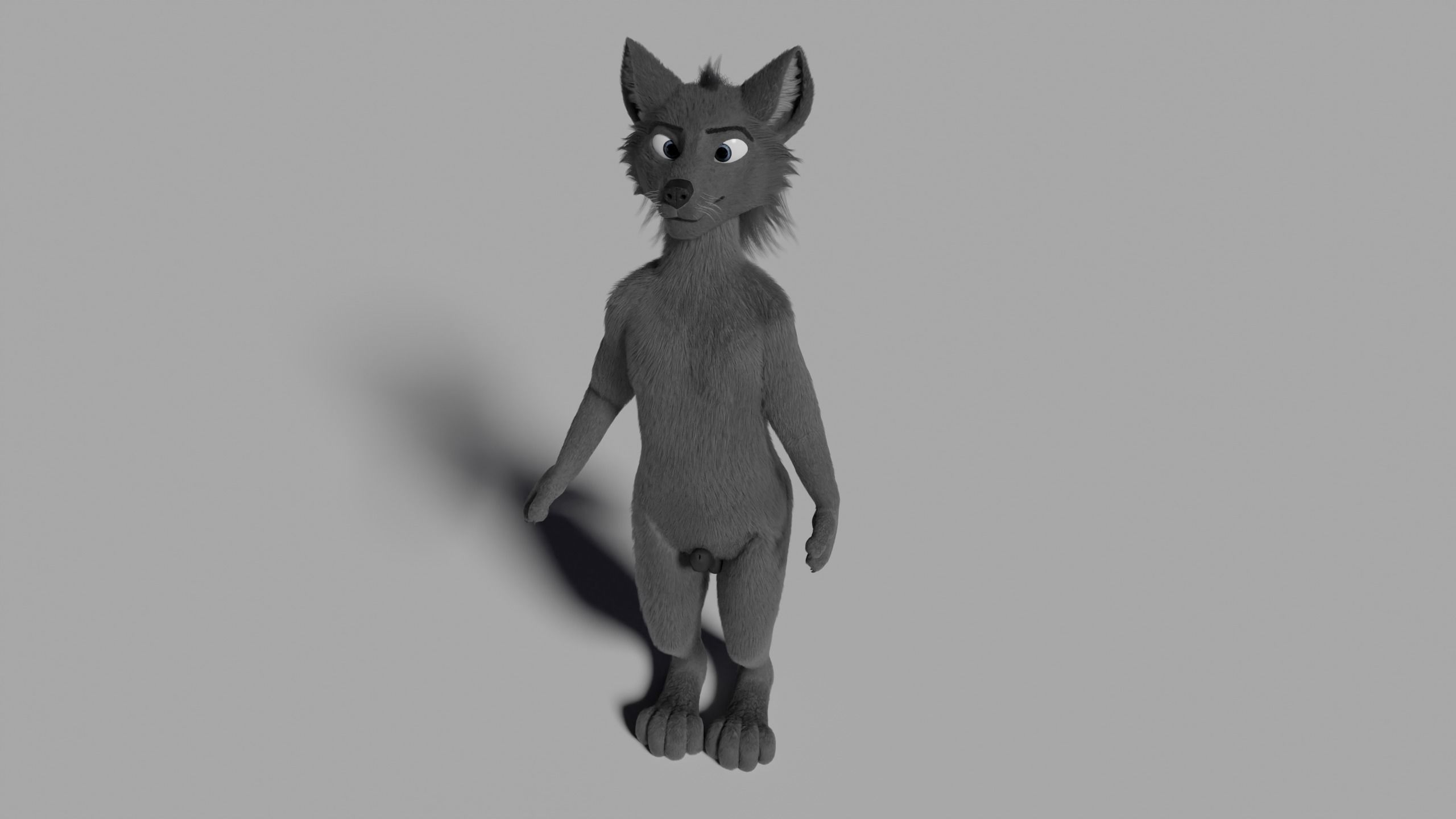 Jonny Anthro Wolf 3D model_36