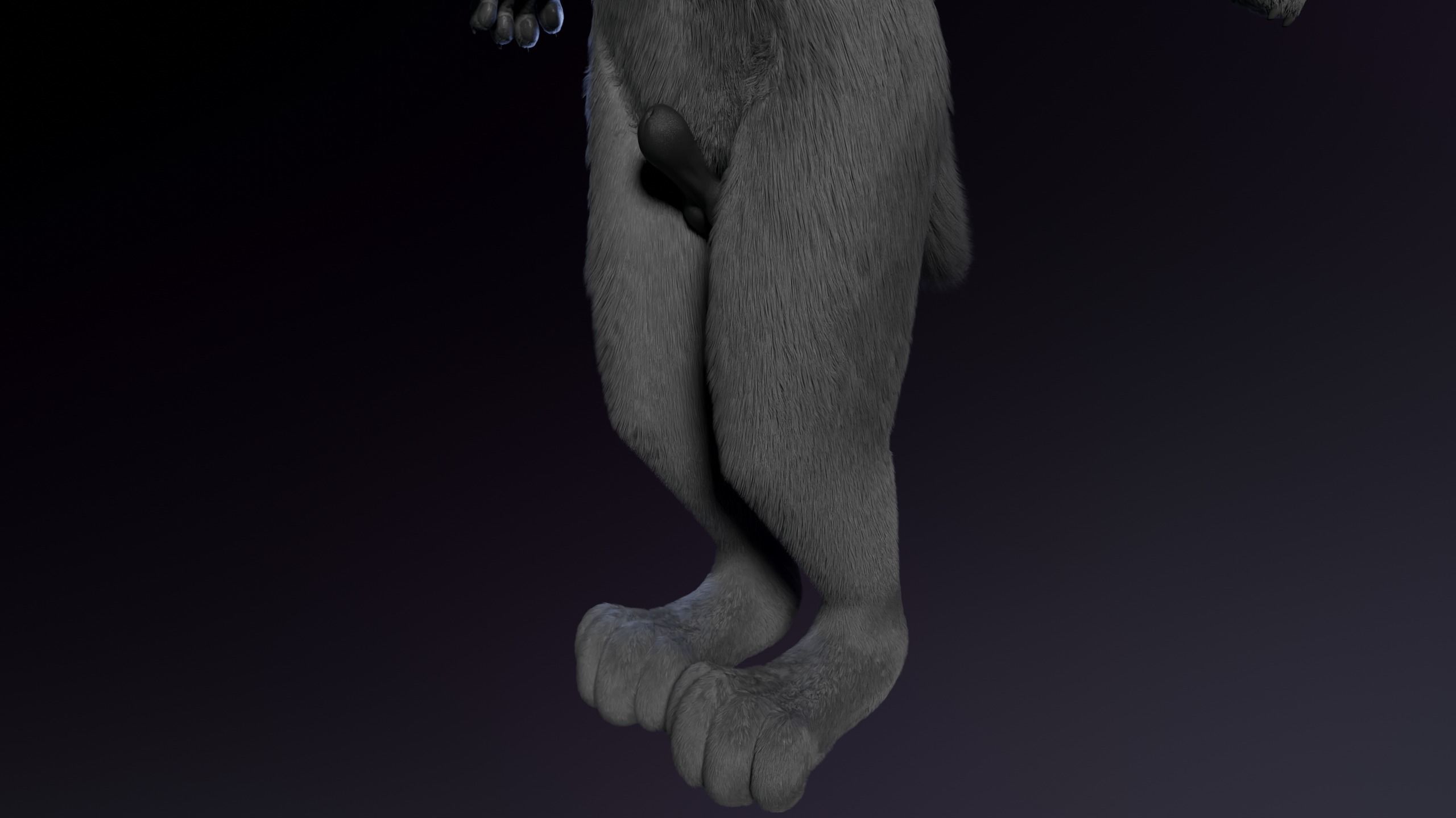 Jonny Anthro Wolf 3D model_10
