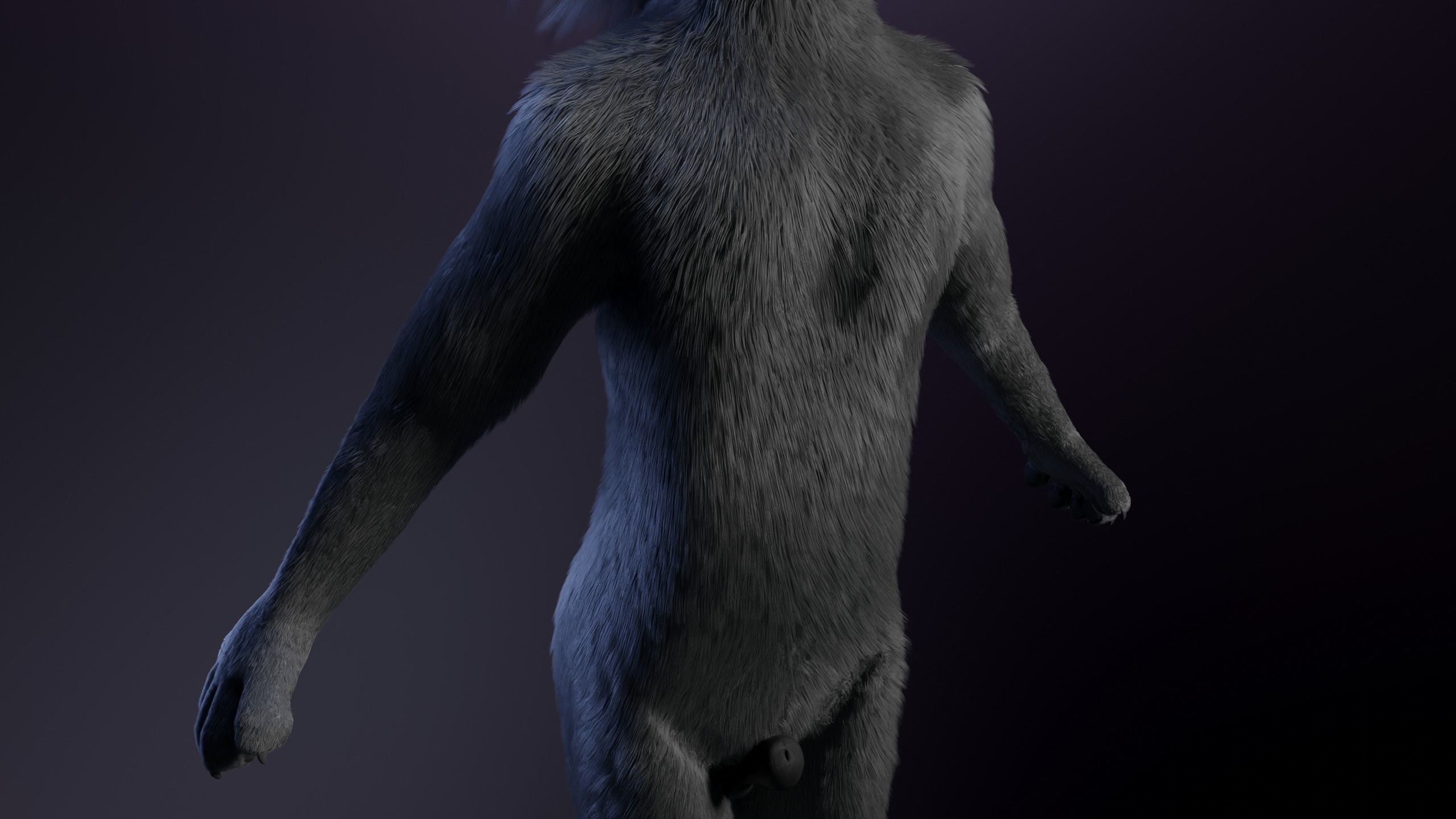 Jonny Anthro Wolf 3D model_8
