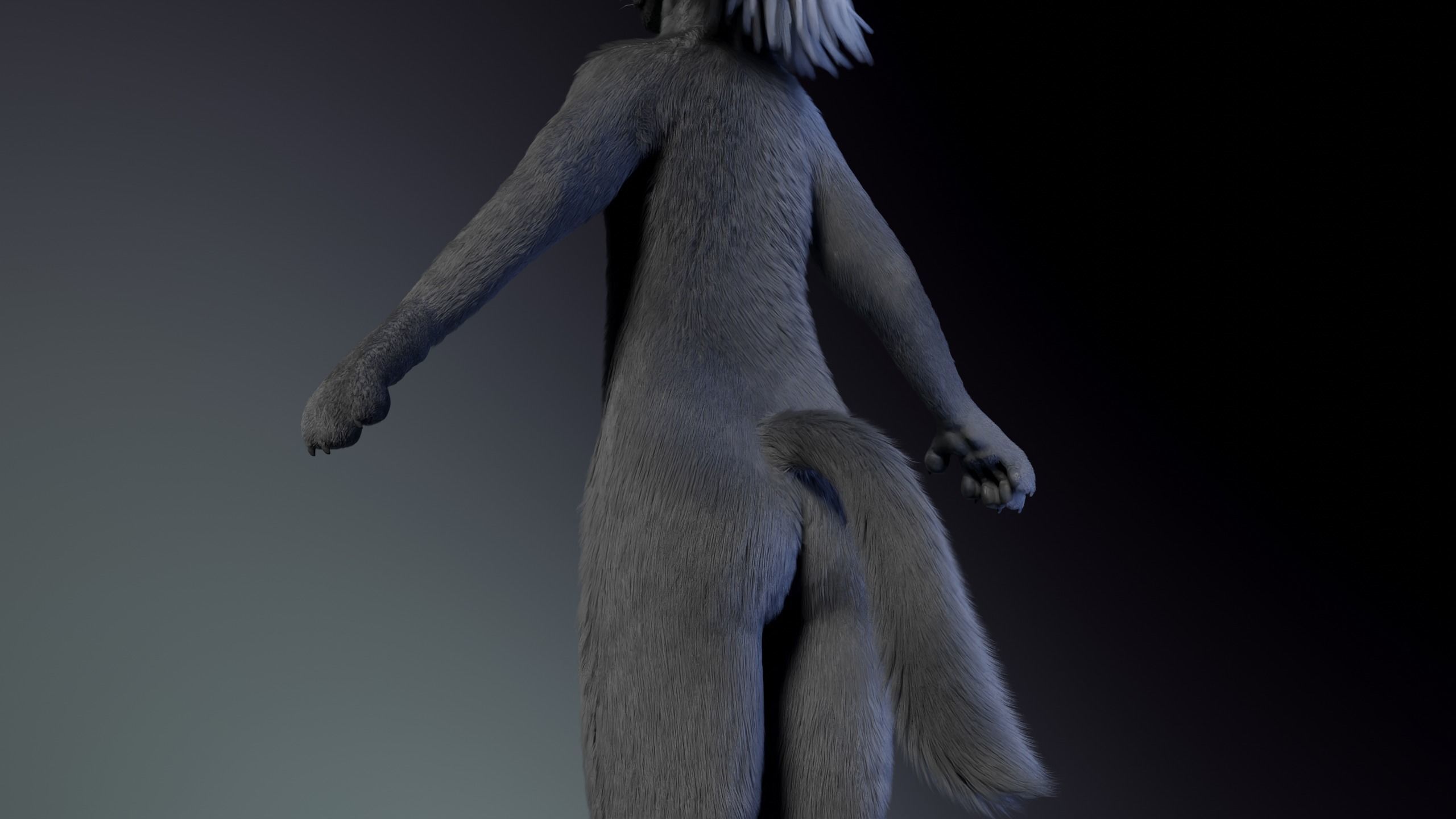 Jonny Anthro Wolf 3D model_9