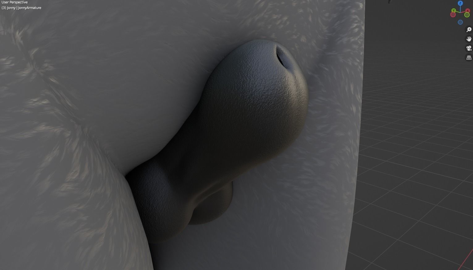 Jonny Anthro Wolf 3D model_55