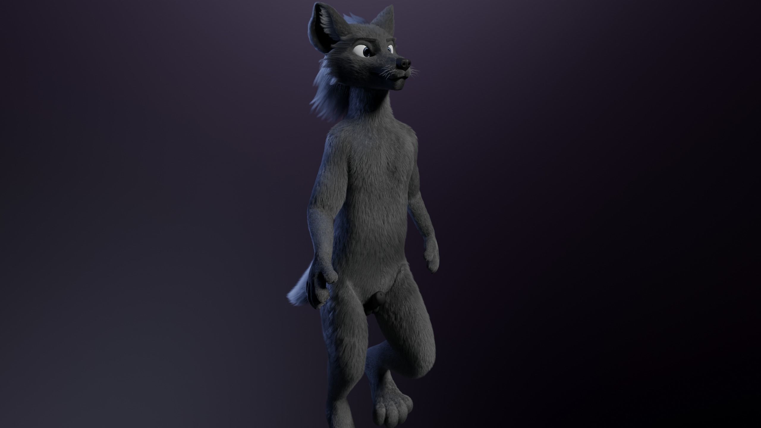 Jonny Anthro Wolf 3D model_22
