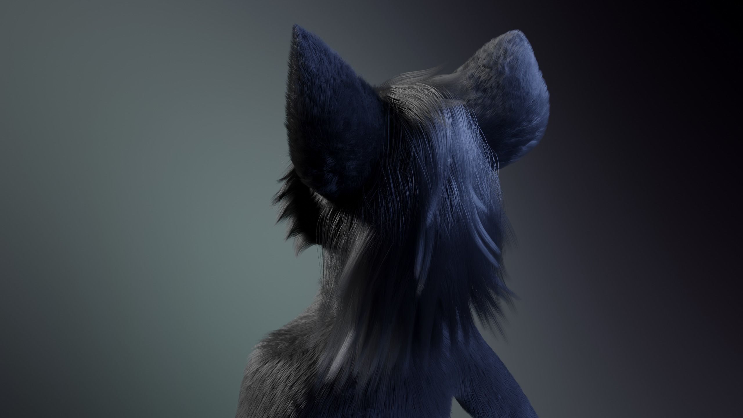 Jonny Anthro Wolf 3D model_5