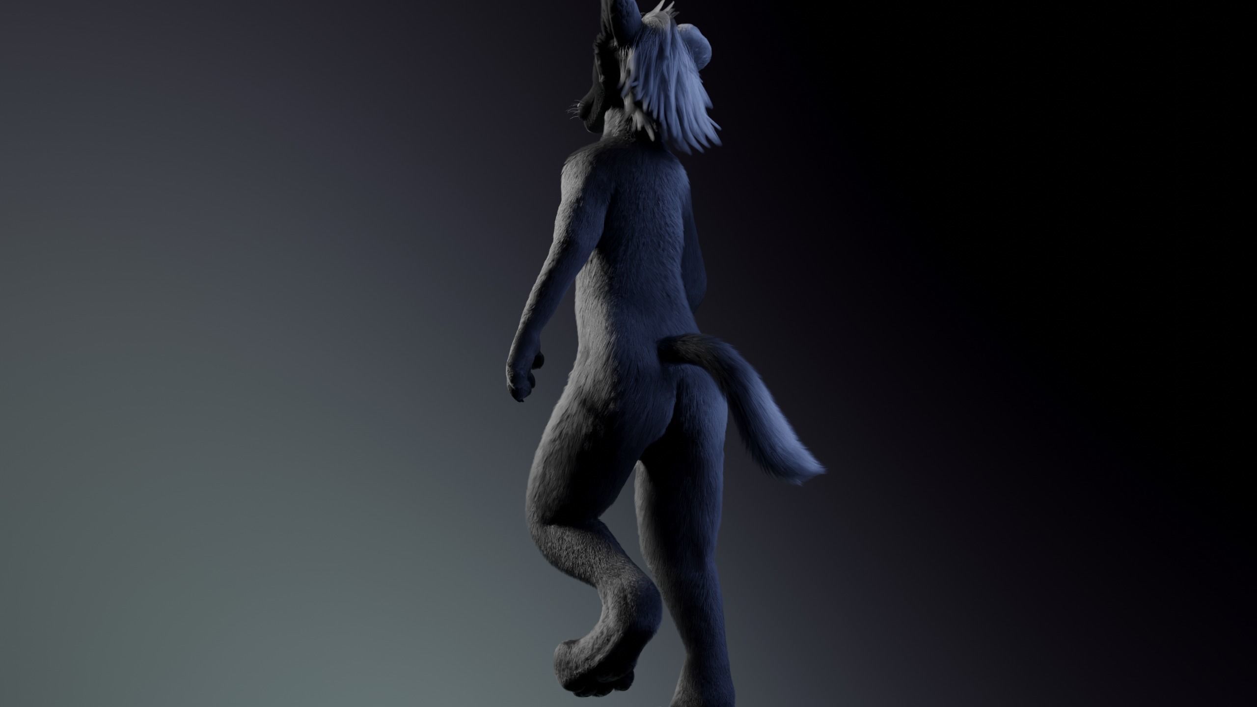 Jonny Anthro Wolf 3D model_23