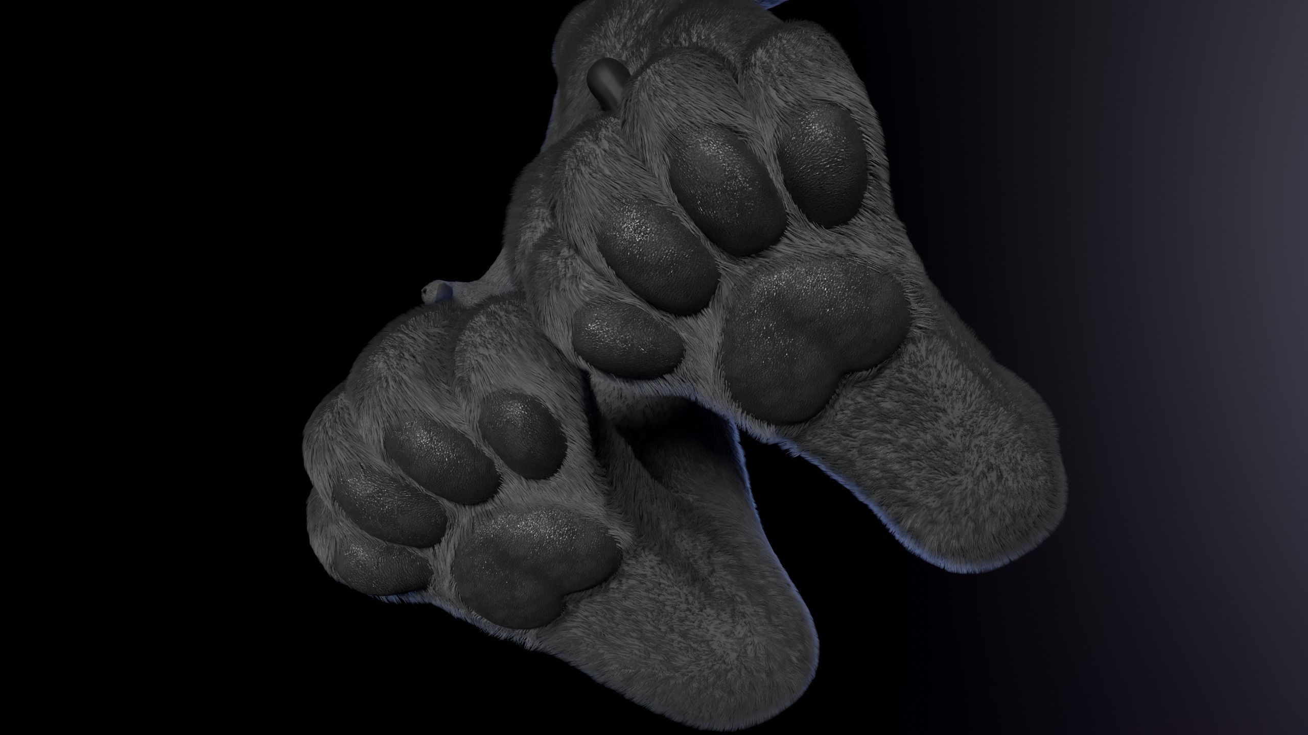 Jonny Anthro Wolf 3D model_16