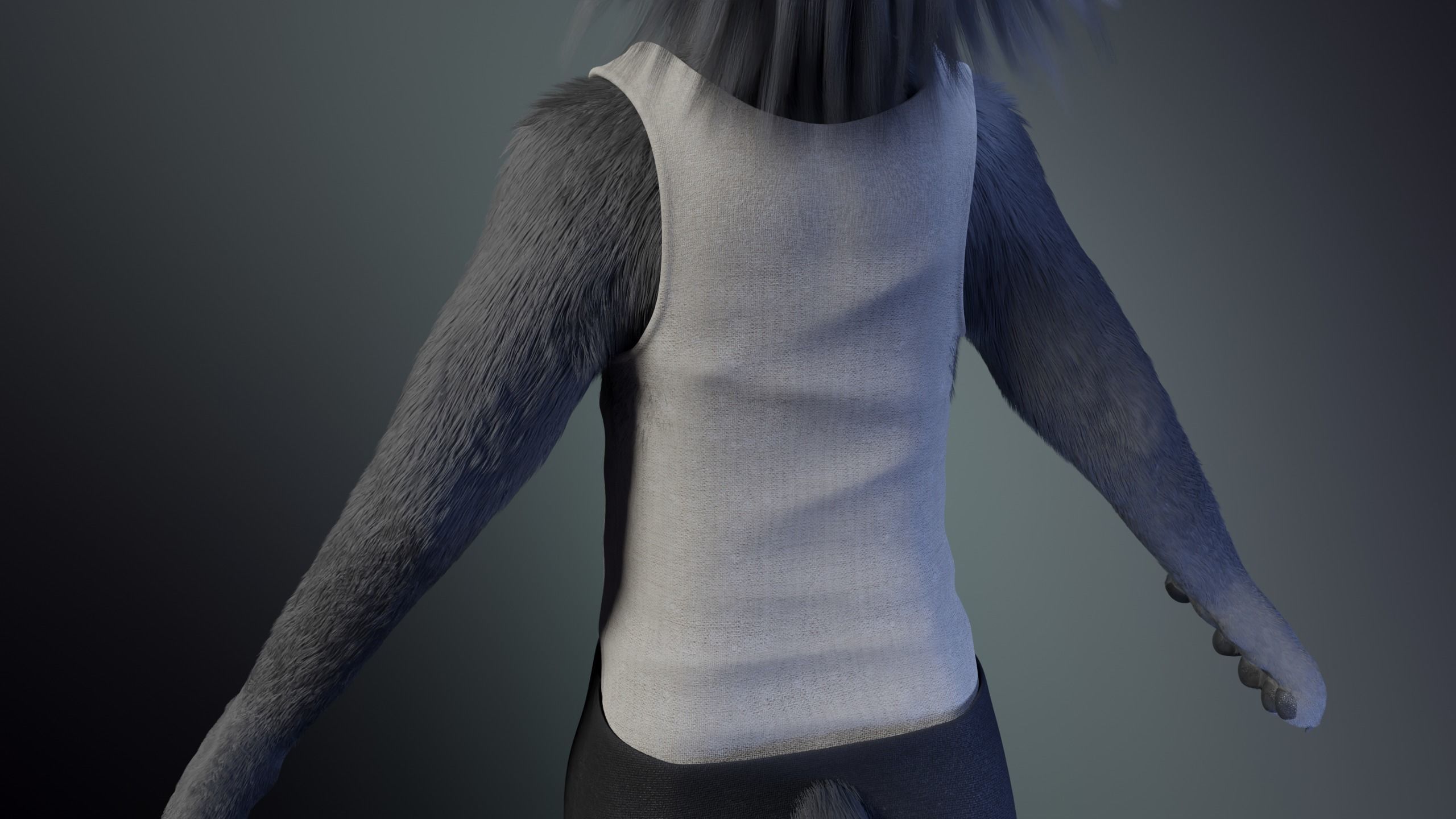 Jonny Anthro Wolf 3D model_29