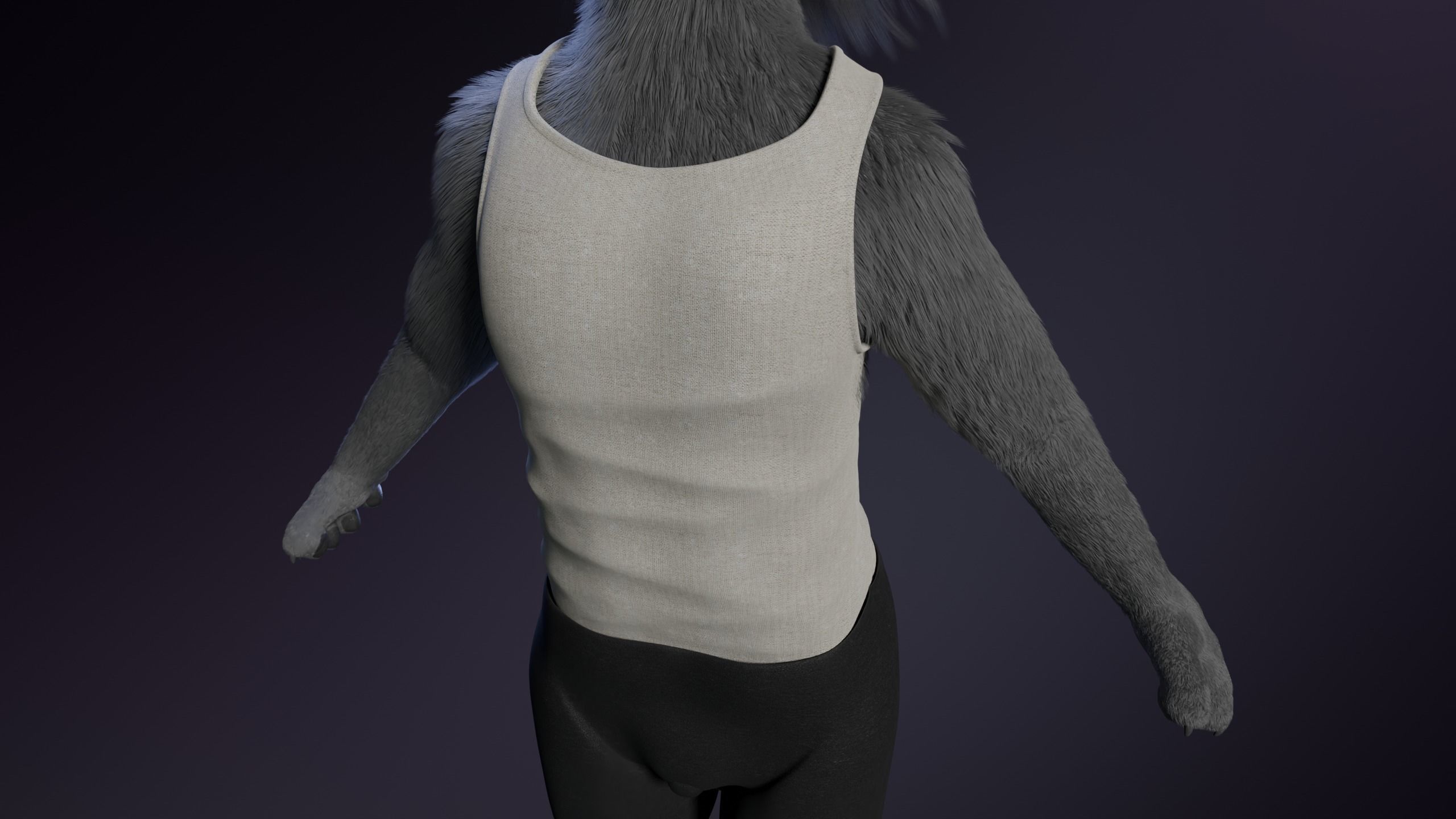 Jonny Anthro Wolf 3D model_28