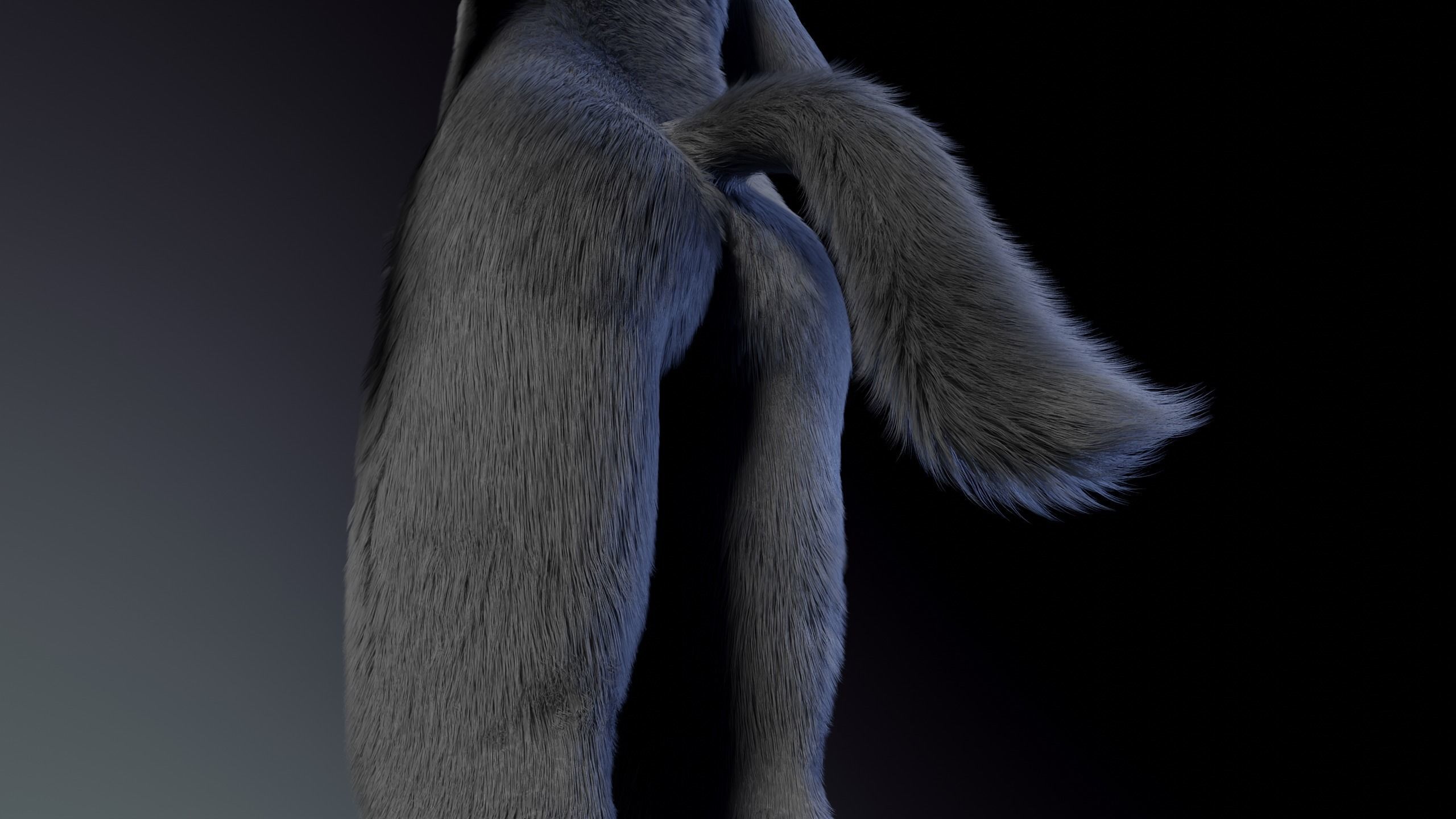 Jonny Anthro Wolf 3D model_11