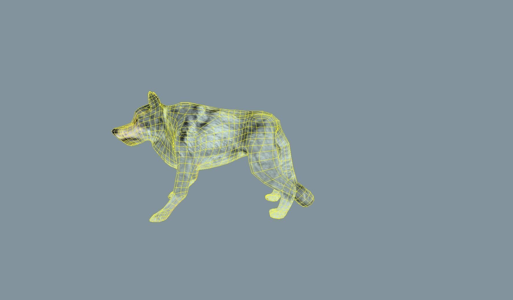 Wolf - low-poly model Free low-poly 3D model 3D model_3