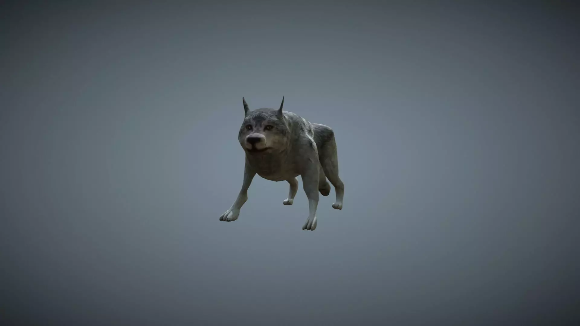 Wolf - low-poly model Free low-poly 3D model 3D model_0