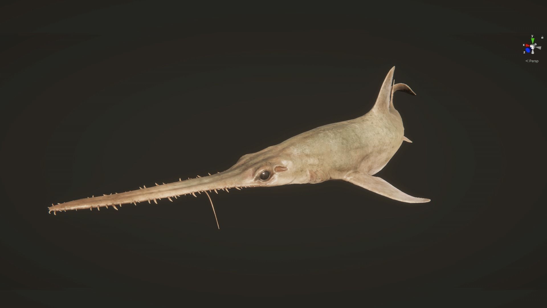 Saw Shark Low-poly 3D model_16