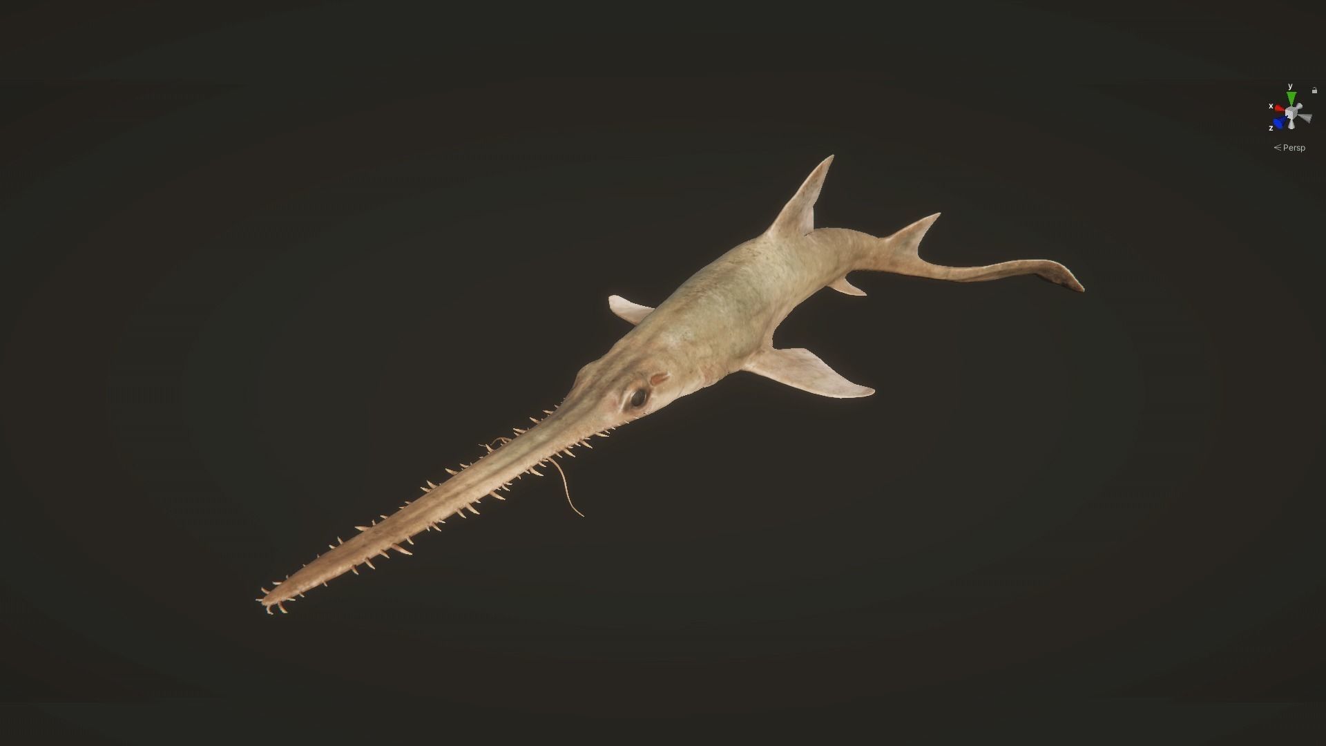 Saw Shark Low-poly 3D model_11