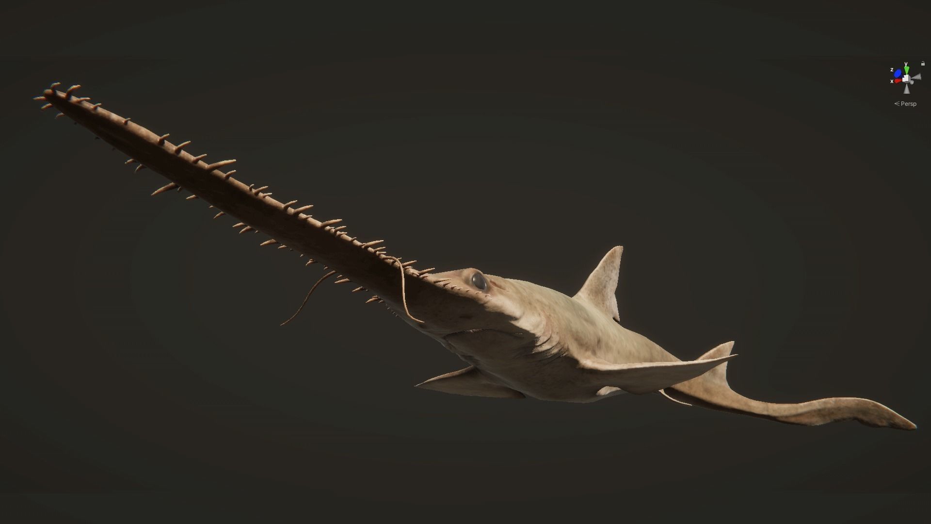 Saw Shark Low-poly 3D model_17