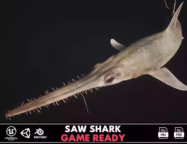 Saw Shark Low-poly 3D model Saw Shark Low-poly 3D model