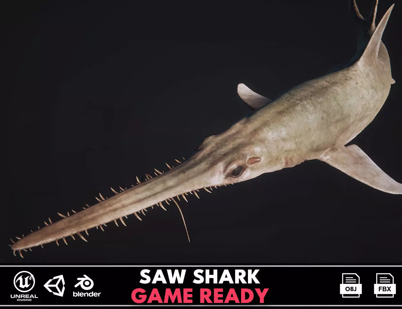 Saw Shark Low-poly 3D model_0