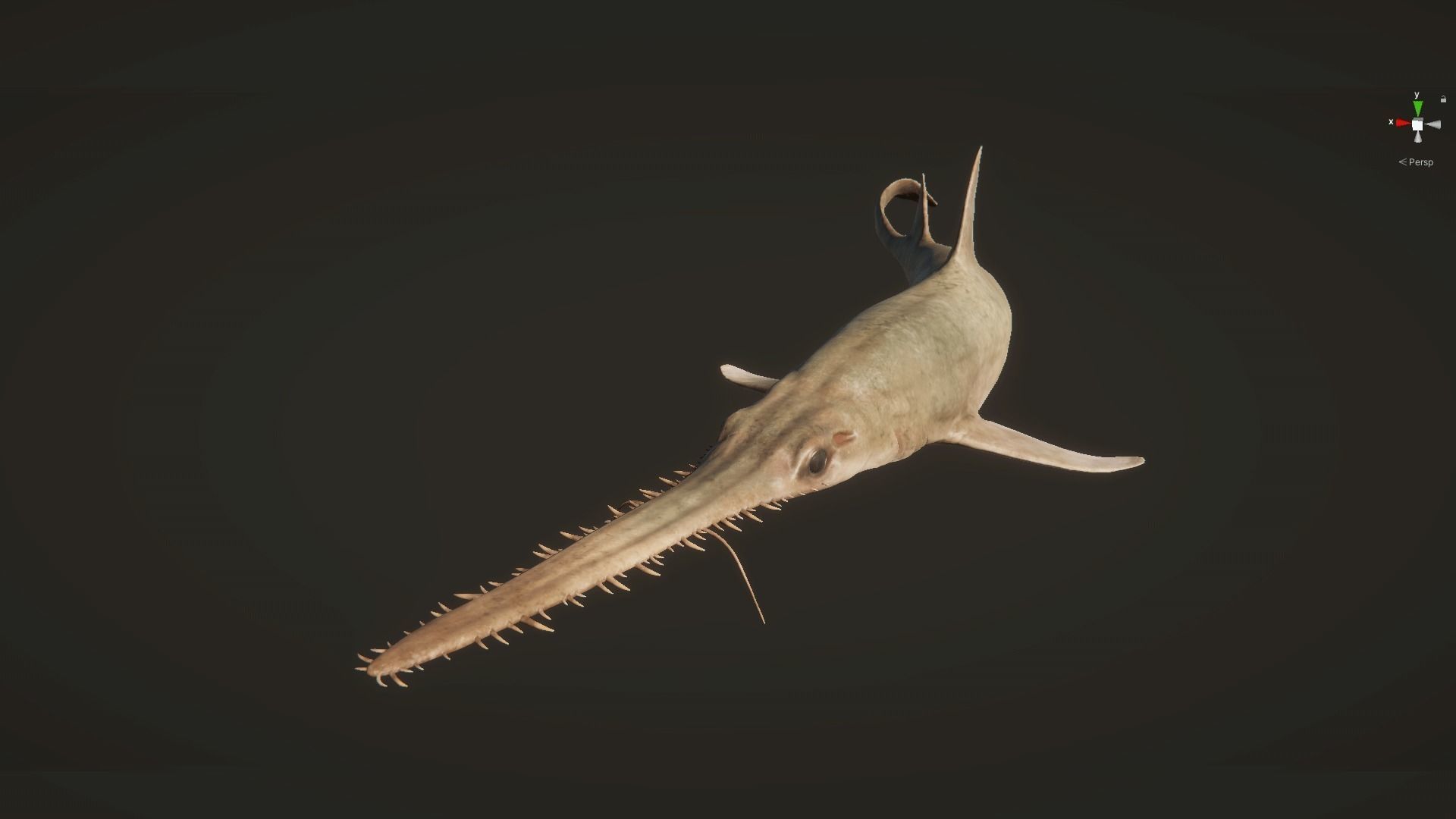Saw Shark Low-poly 3D model_15
