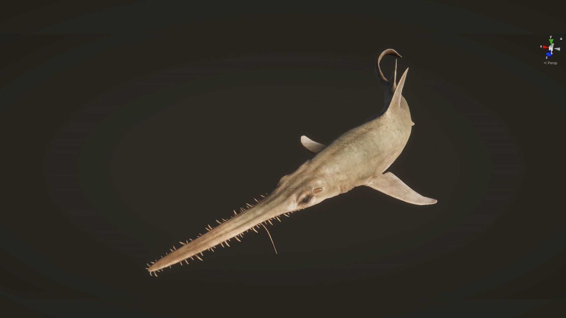 Saw Shark Low-poly 3D model_10