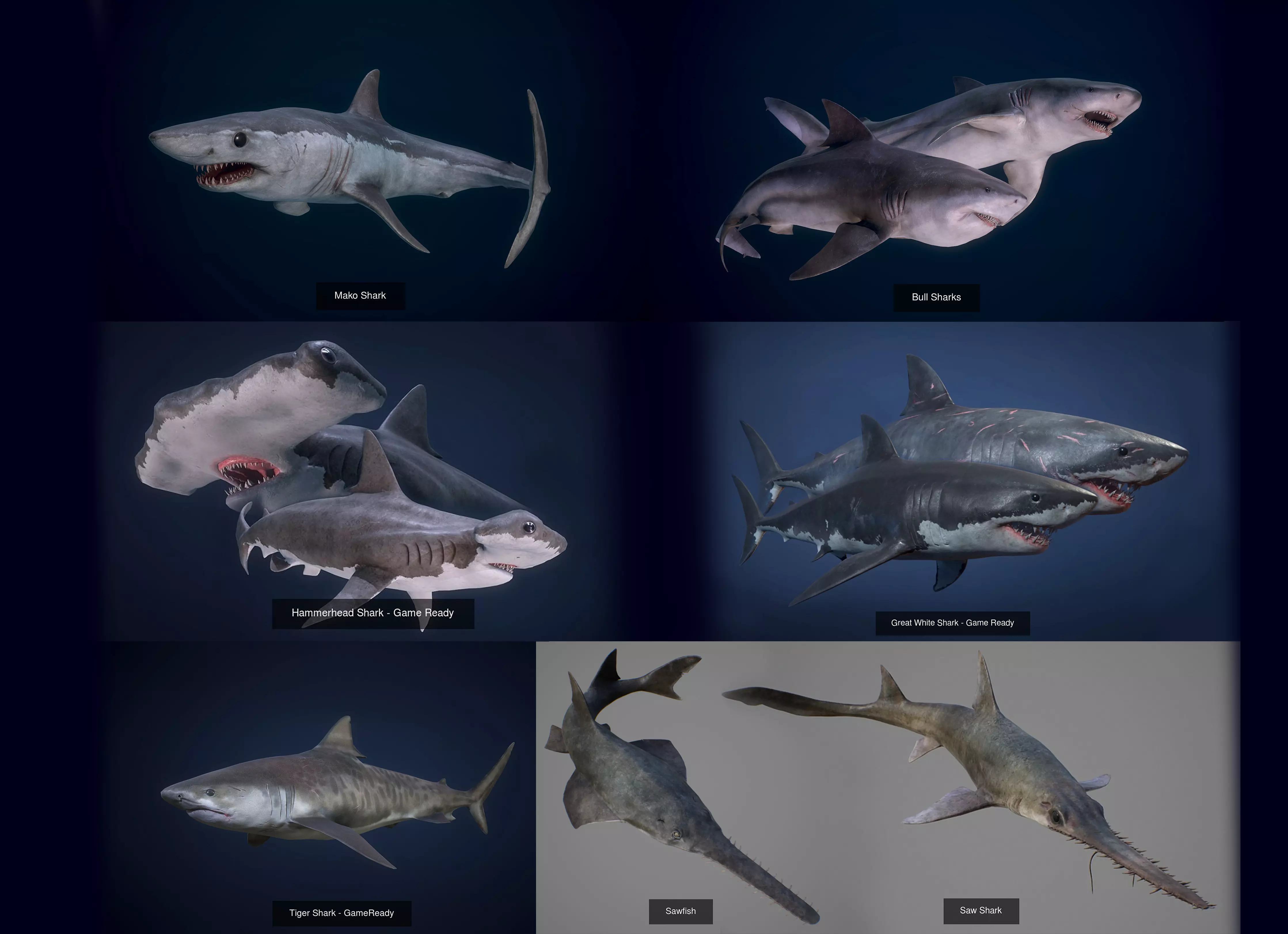 Underwater Life -  Sharks 3D Model Collection_0