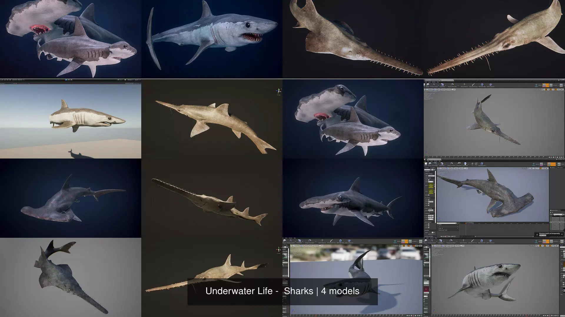 Underwater Life -  Sharks 3D Model Collection_5
