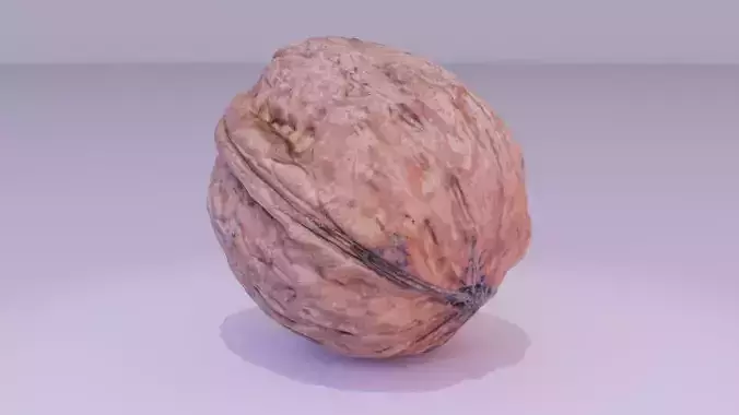 Walnut fruit 05 high-poly