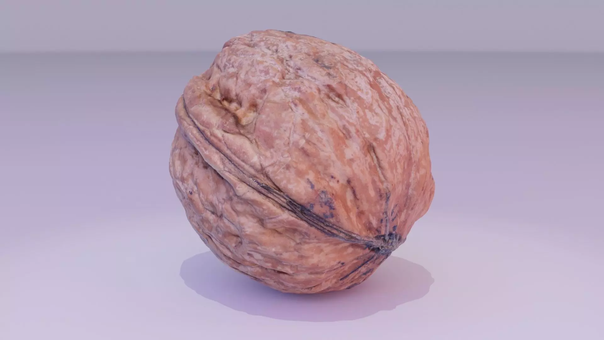 Walnut fruit 05 high-poly 3D model_0