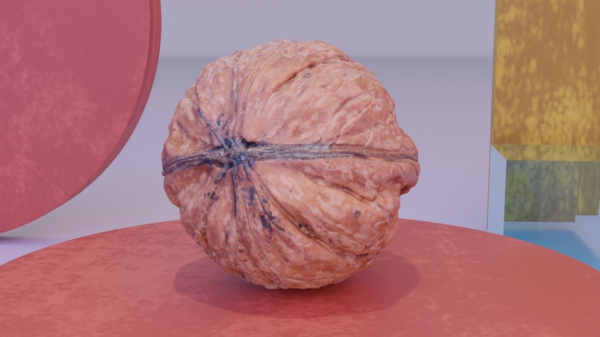 Walnut fruit 05 high-poly 3D model_3