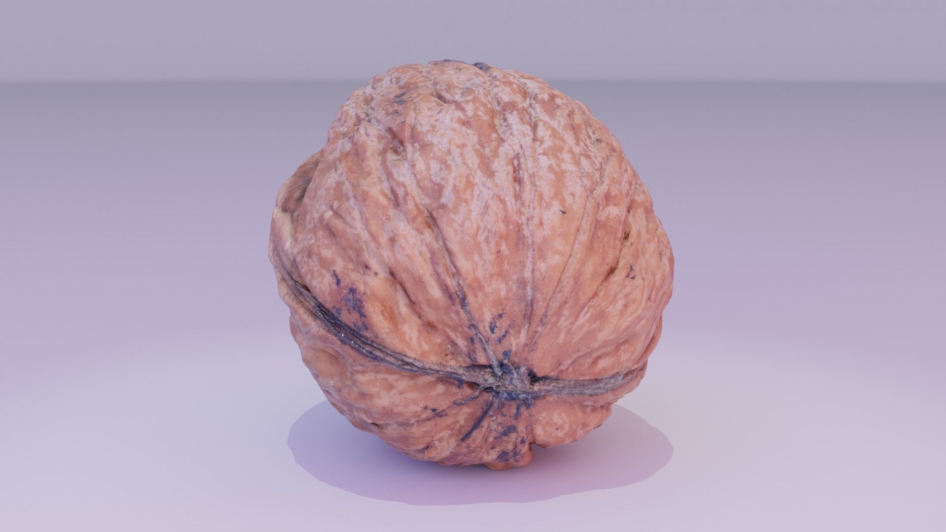 Walnut fruit 05 high-poly 3D model_14