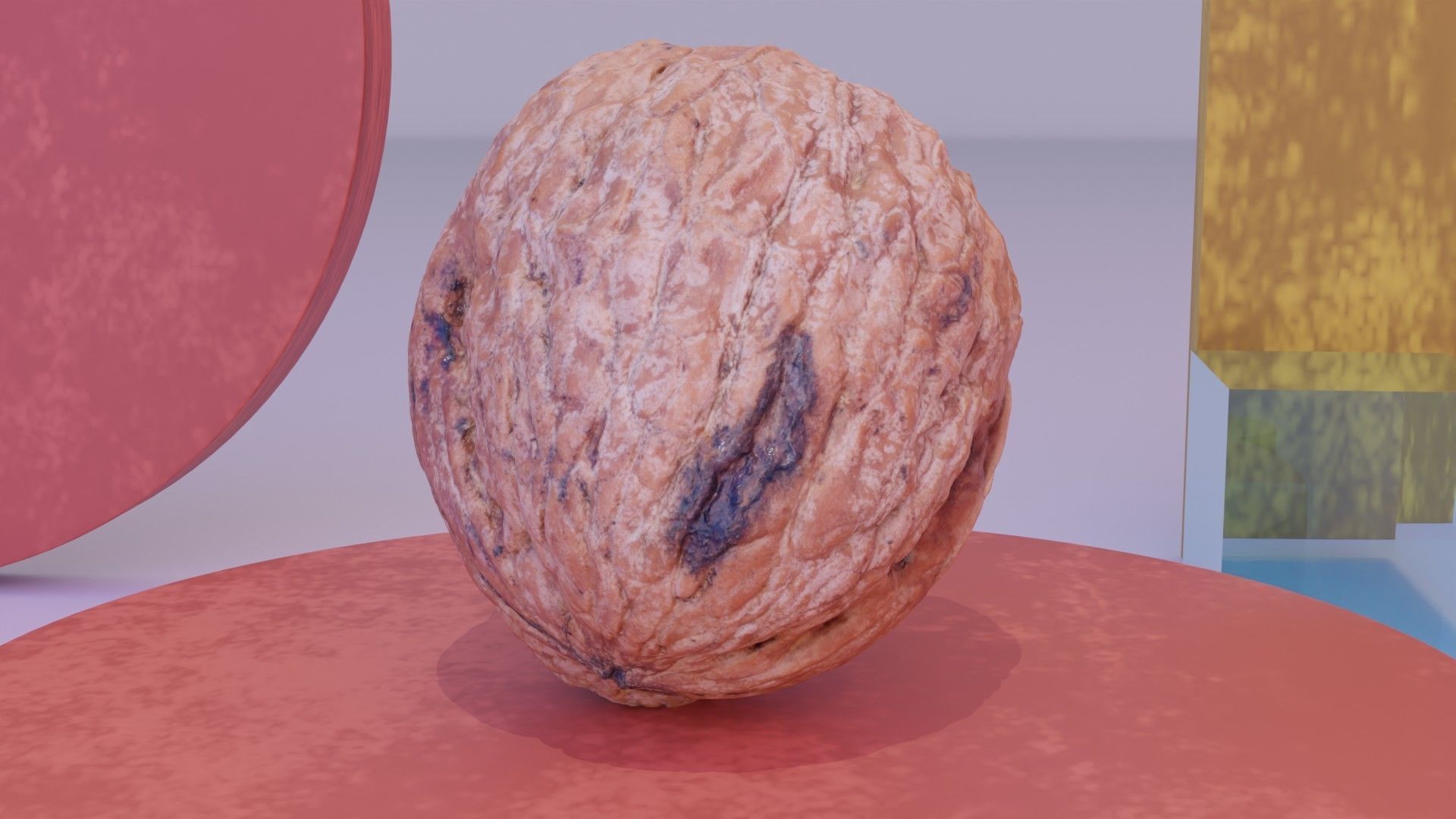 Walnut fruit 05 high-poly 3D model_8