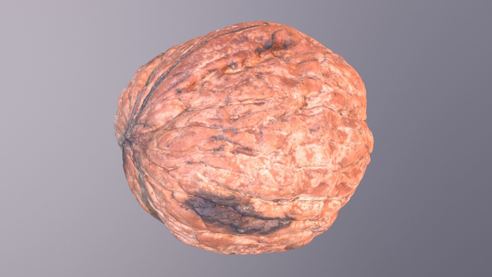Walnut fruit 05 high-poly 3D model_20