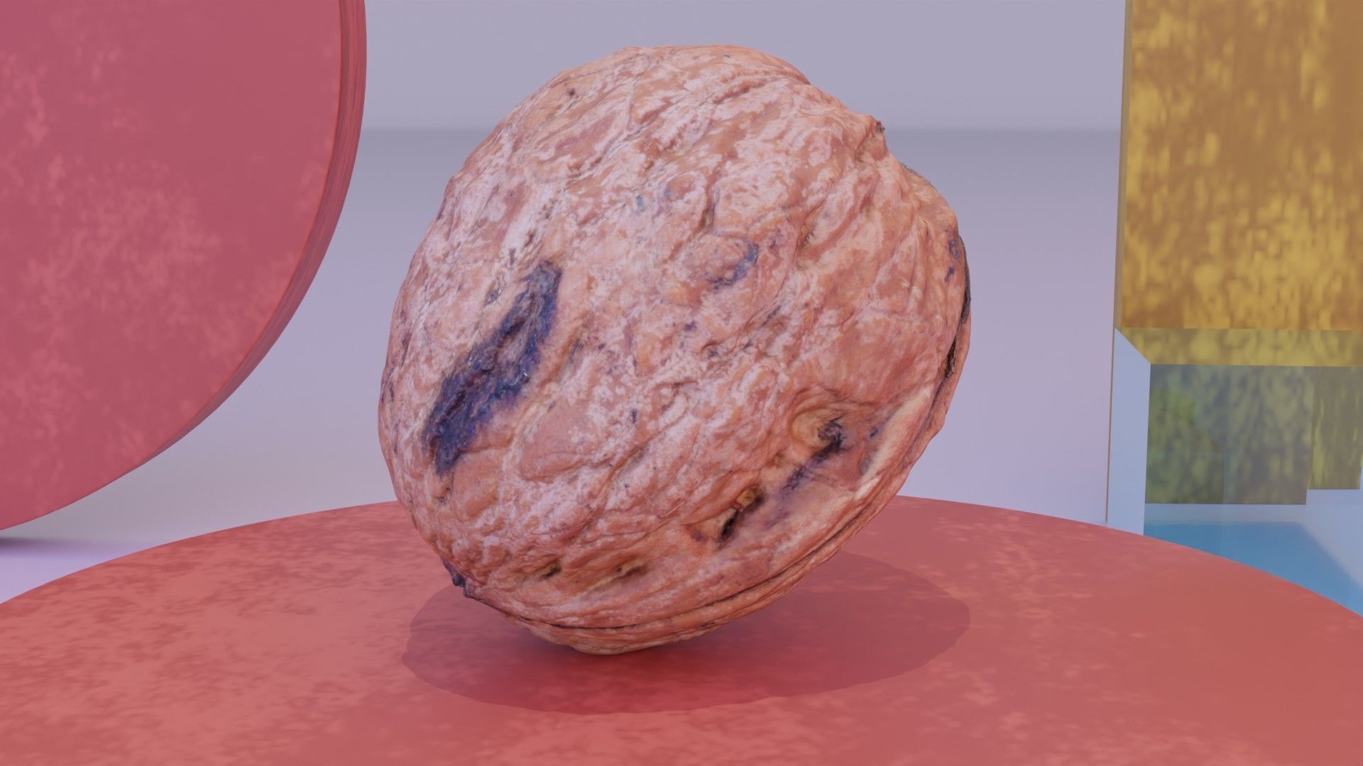 Walnut fruit 05 high-poly 3D model_7