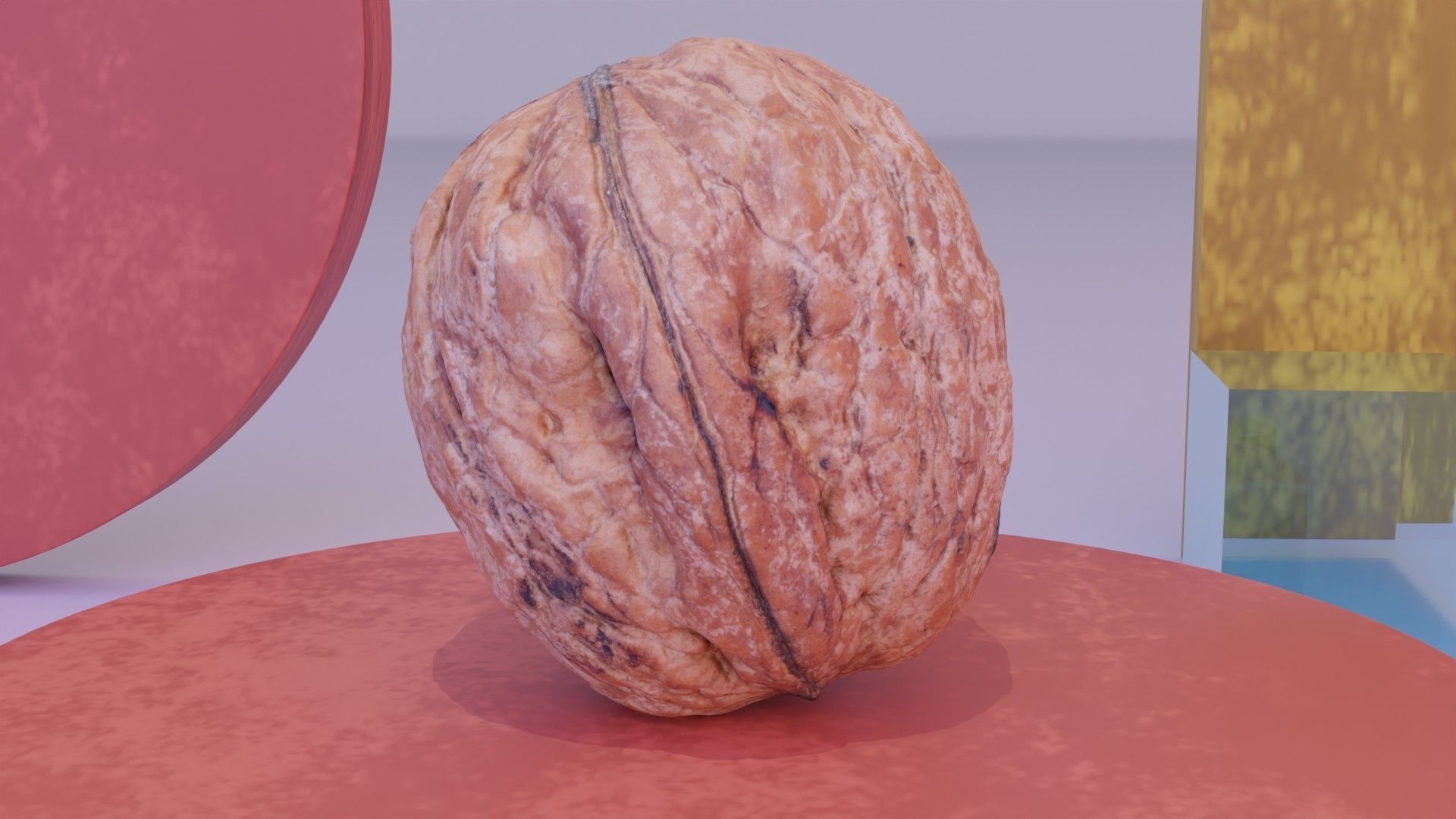 Walnut fruit 05 high-poly 3D model_10