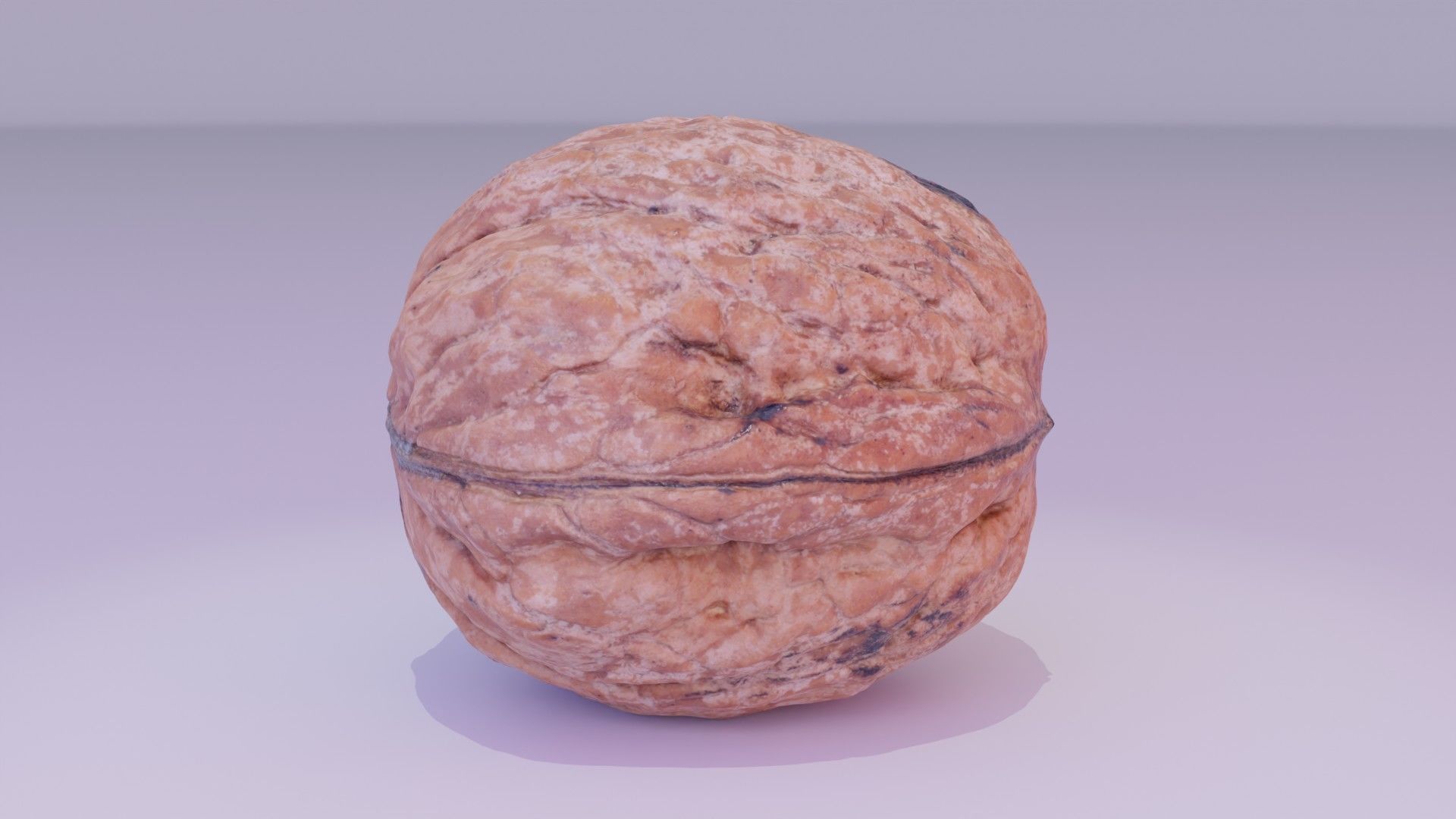 Walnut fruit 05 high-poly 3D model_11
