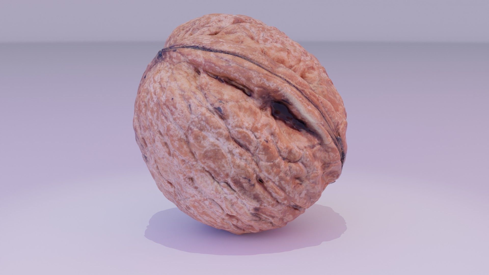 Walnut fruit 05 high-poly 3D model_16