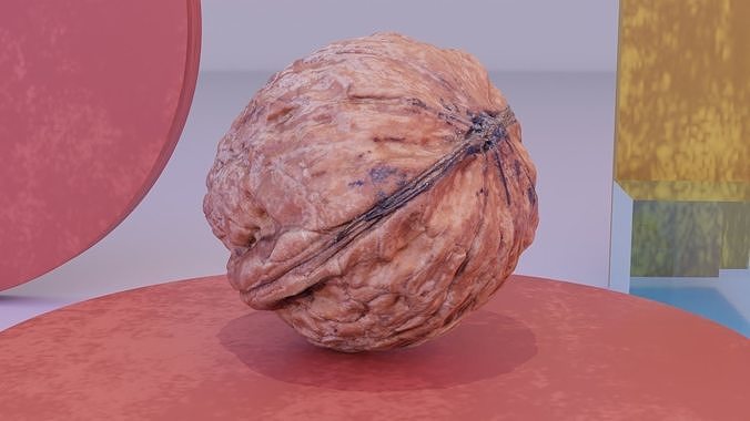 Walnut fruit 05 high-poly 3D model 6