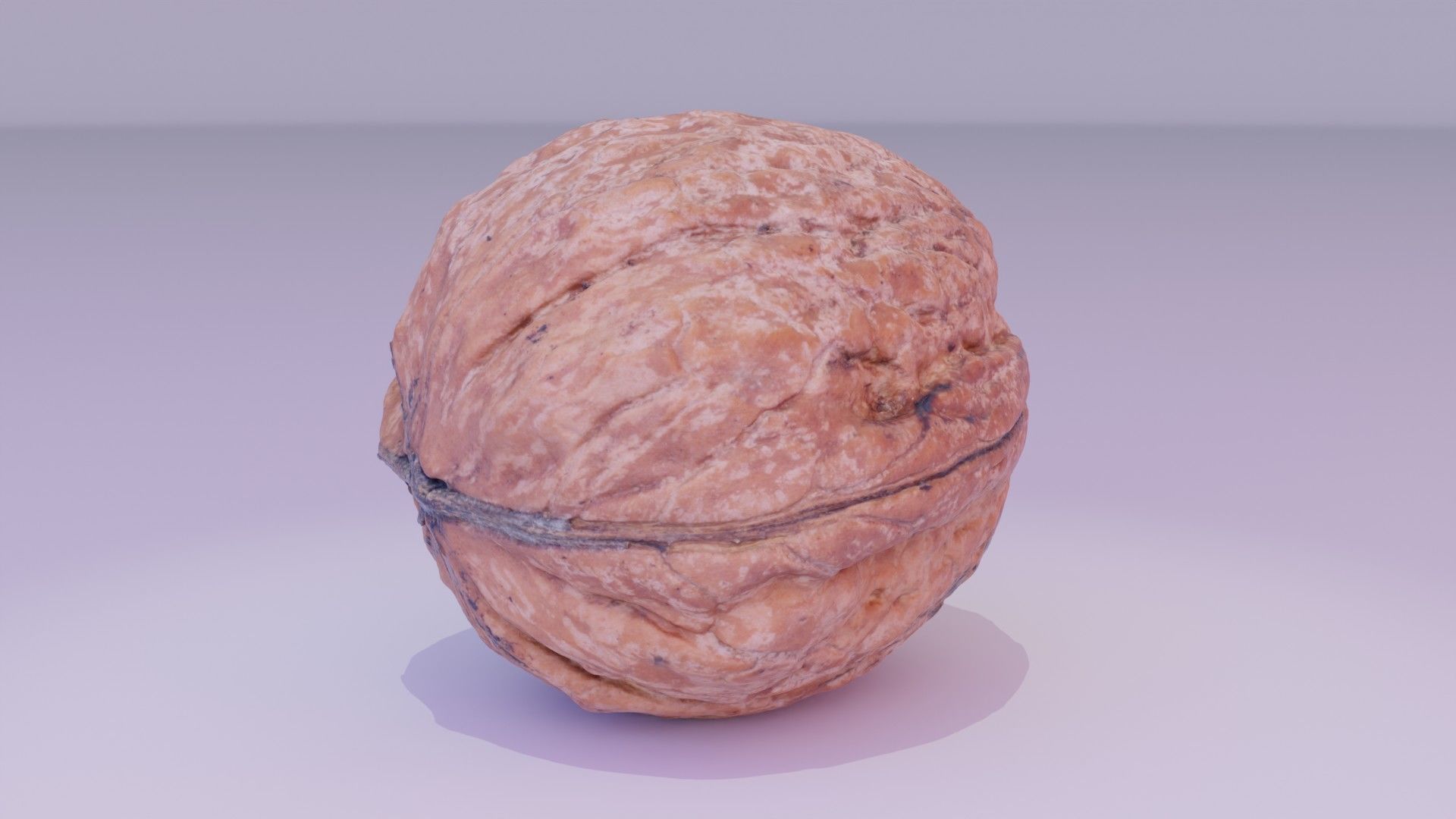 Walnut fruit 05 high-poly 3D model_12