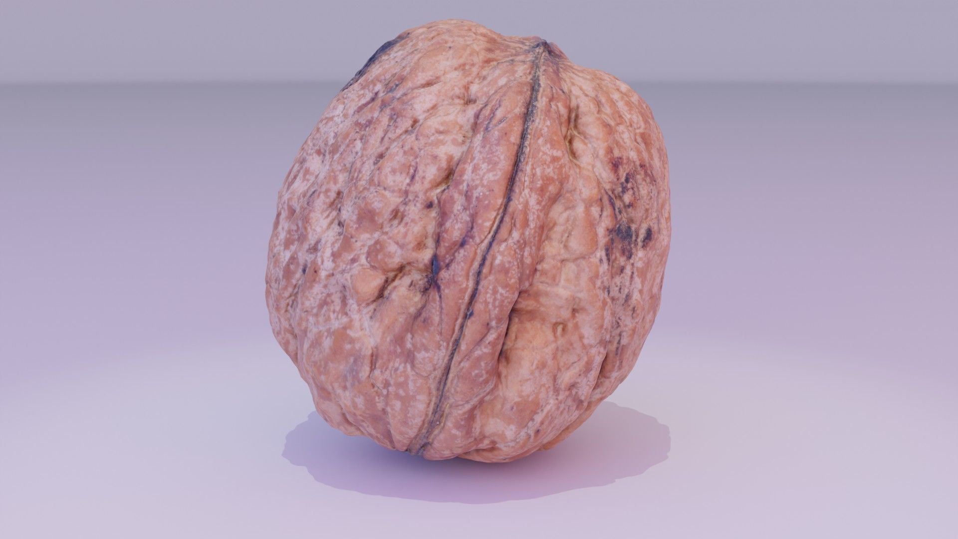 Walnut fruit 05 high-poly 3D model_19