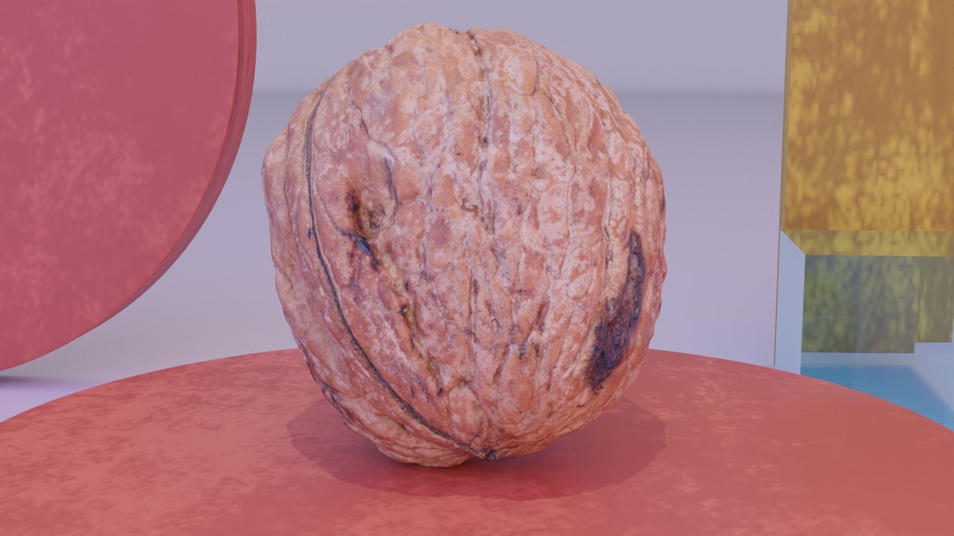 Walnut fruit 05 high-poly 3D model_9