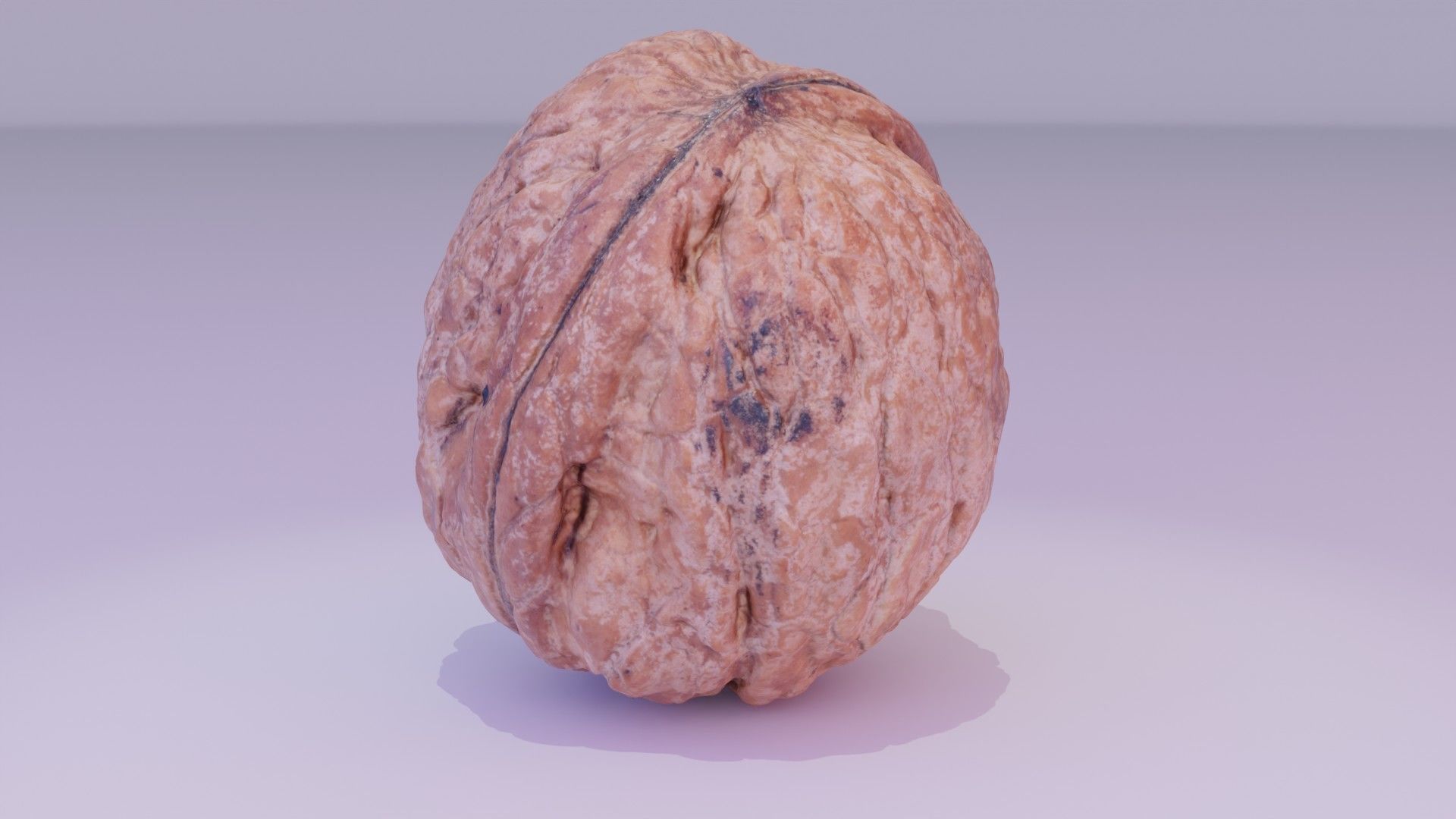 Walnut fruit 05 high-poly 3D model_18