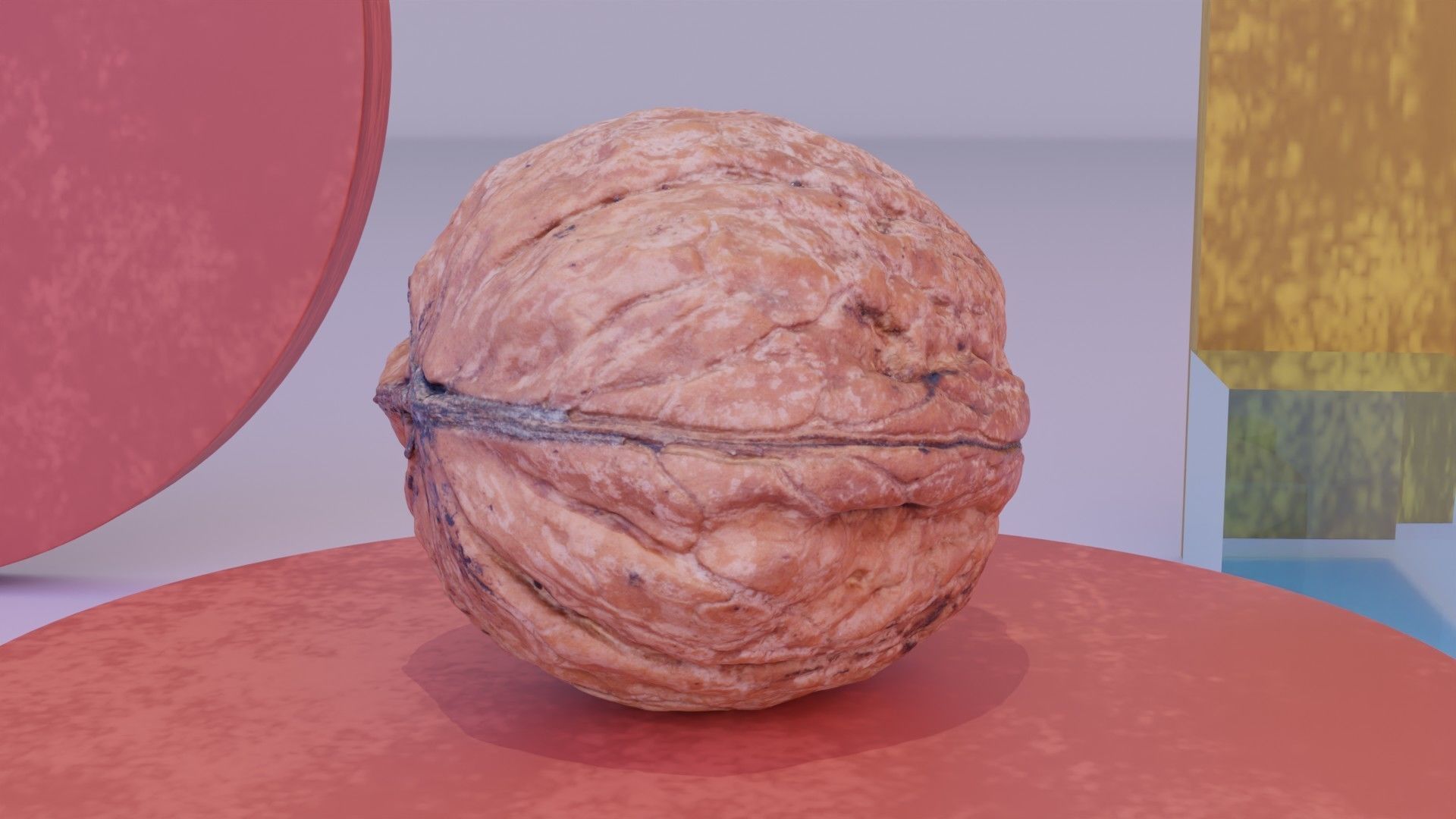 Walnut fruit 05 high-poly 3D model_2