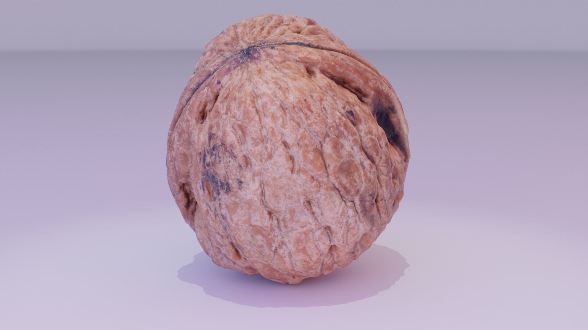 Walnut fruit 05 high-poly 3D model_17