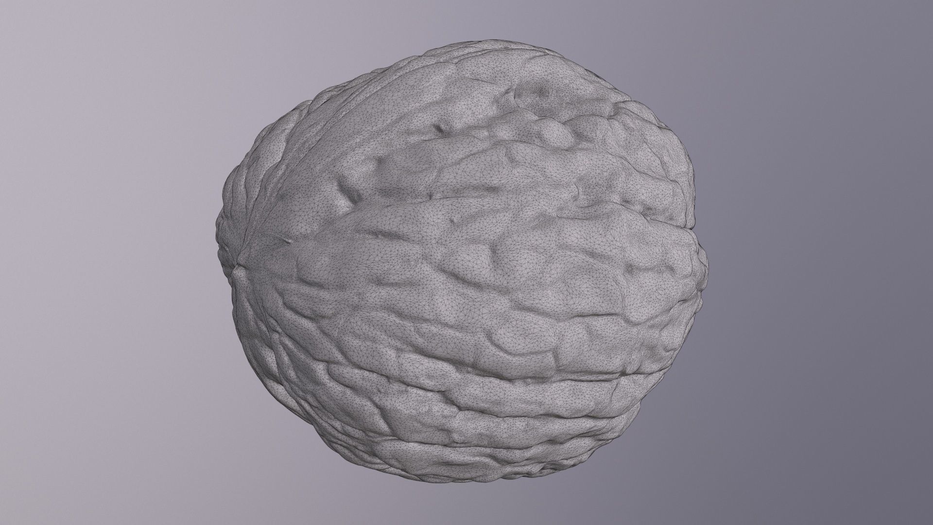 Walnut fruit 05 high-poly 3D model_22