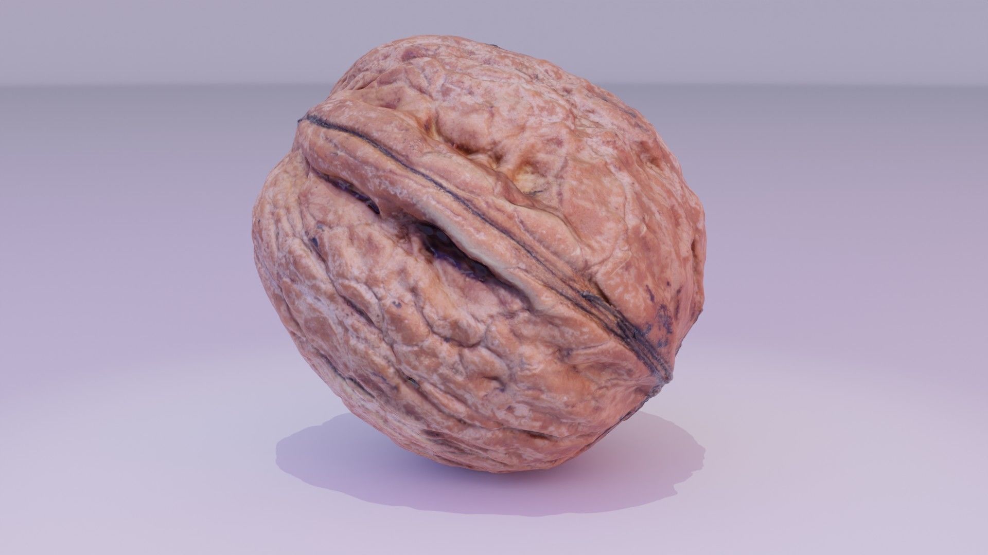 Walnut fruit 05 high-poly 3D model_15
