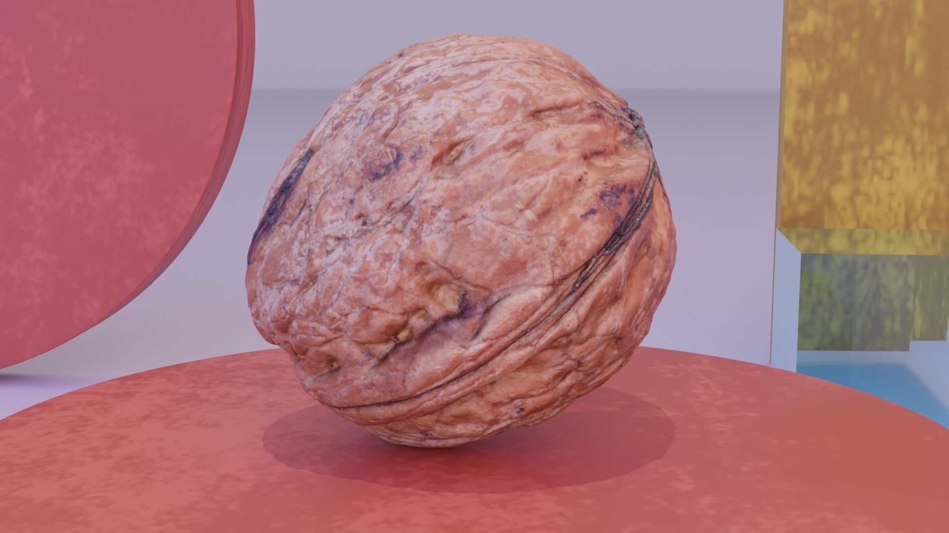 Walnut fruit 05 high-poly 3D model_6